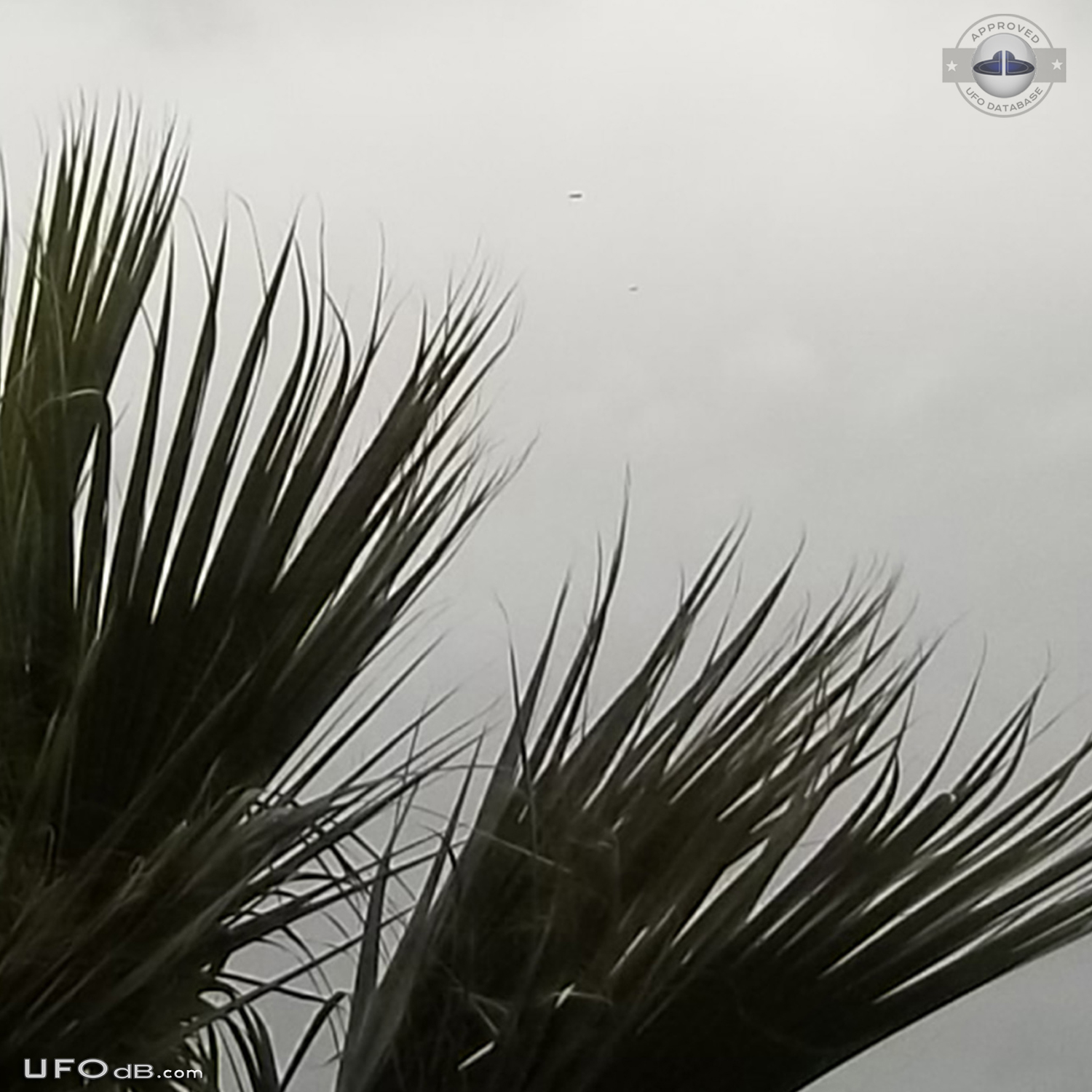 3 disc shaped UFOs seen over Siracusa Sicily Italy january 2014 UFO Picture #599-4