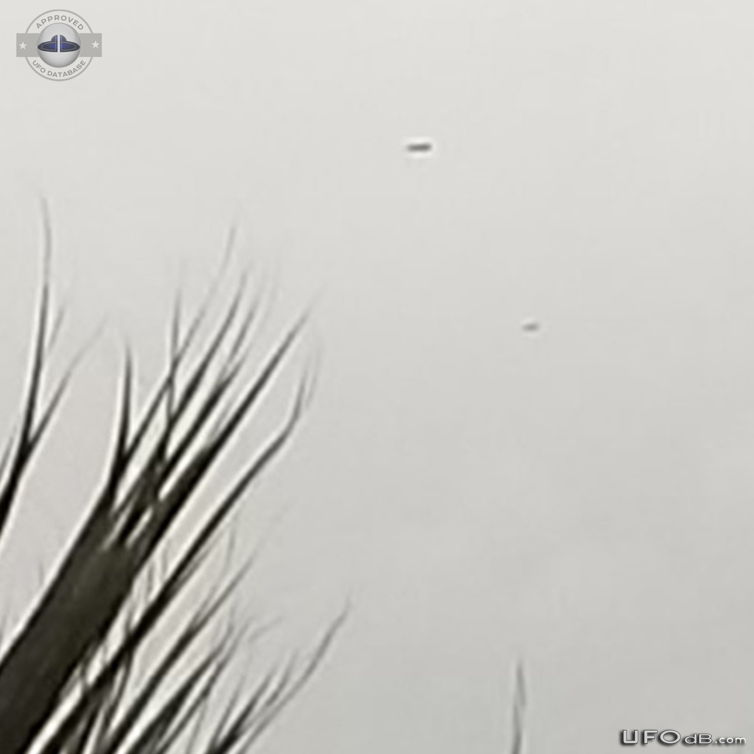 3 disc shaped UFOs seen over Siracusa Sicily Italy january 2014 UFO Picture #599-5
