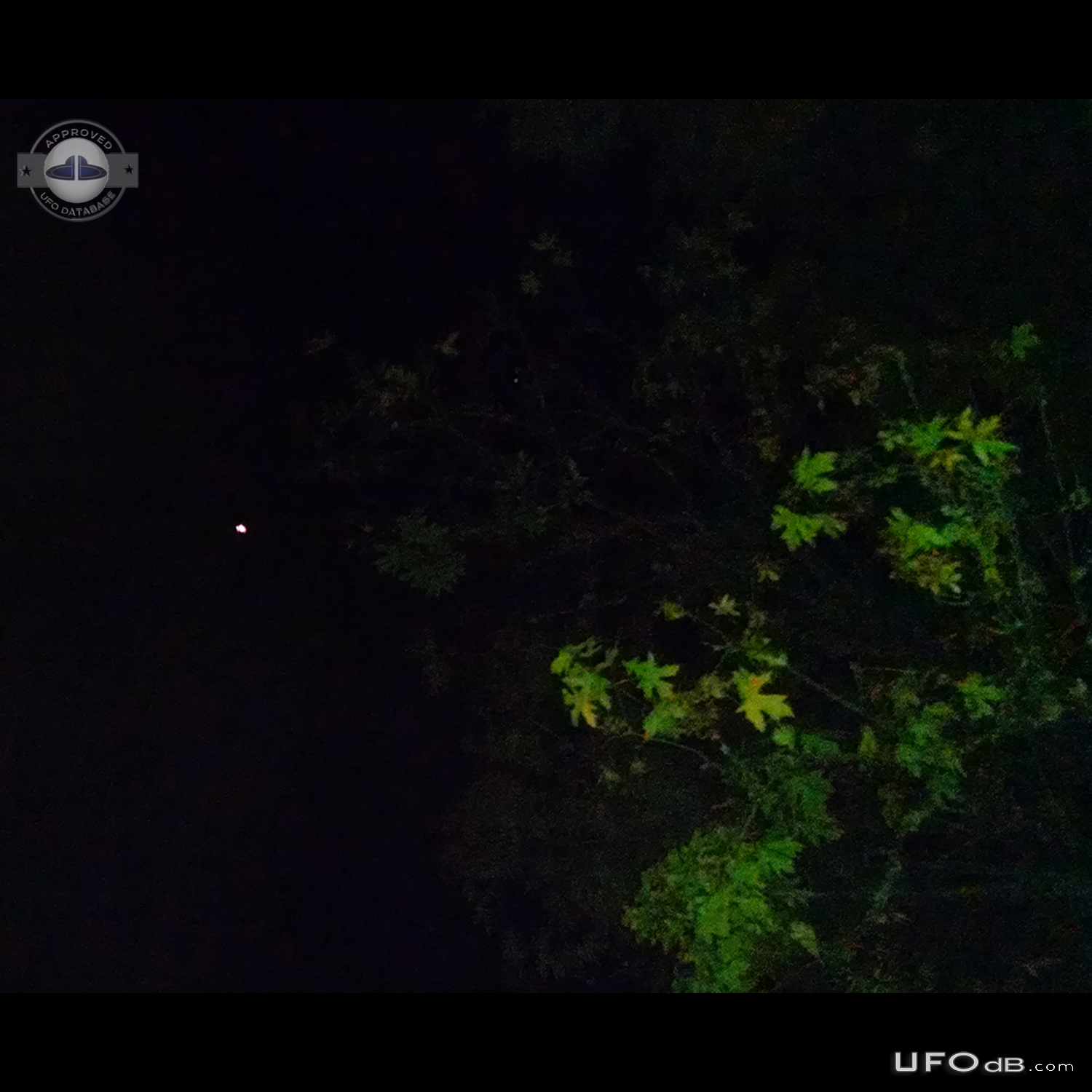 Bright low flying UFO flying north above interstate 5. no lights - Kel UFO Picture #766-1