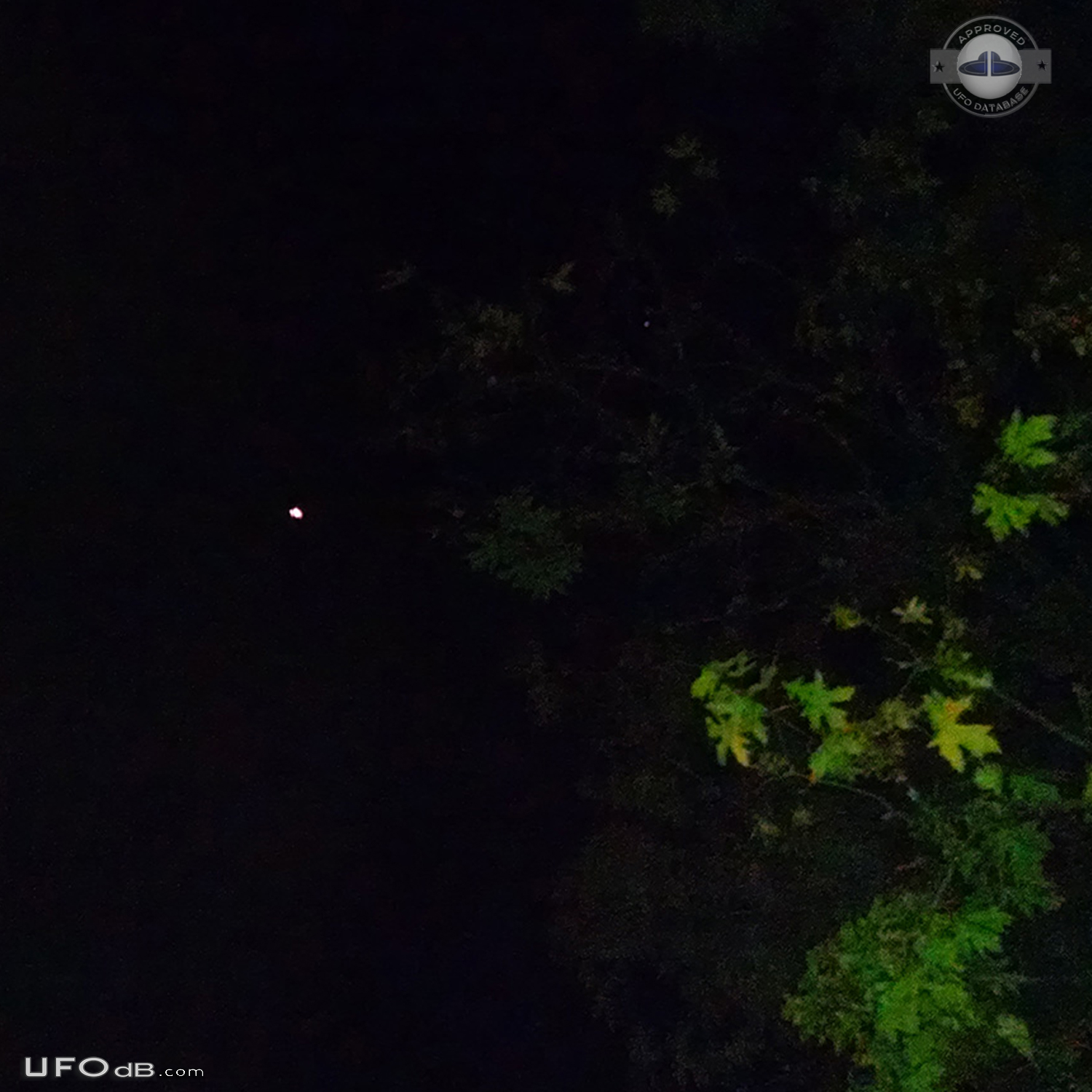 Bright low flying UFO flying north above interstate 5. no lights - Kel UFO Picture #766-2