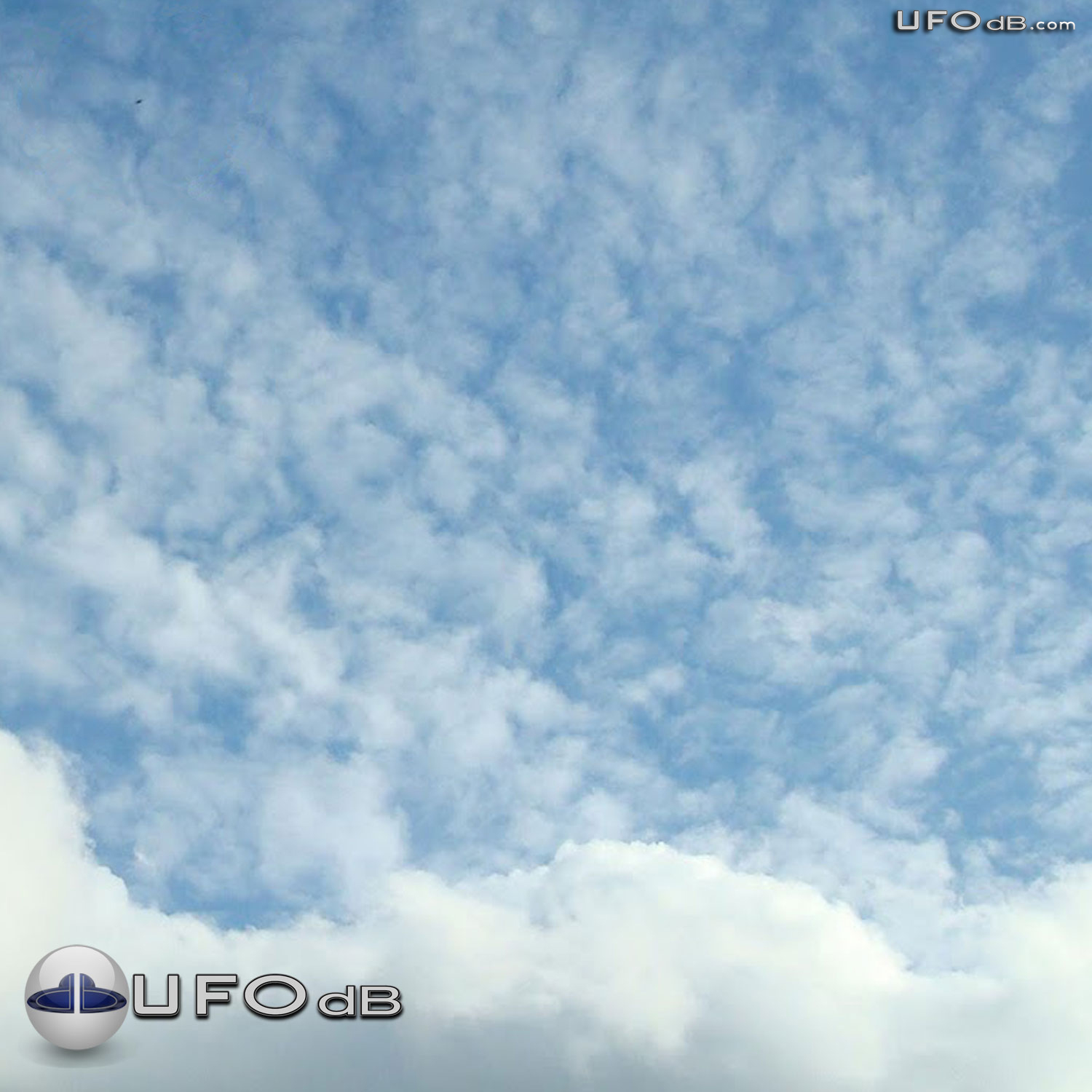 Three months of massive UFO sightings in Argentina | February 20 2011 UFO Picture #267-1