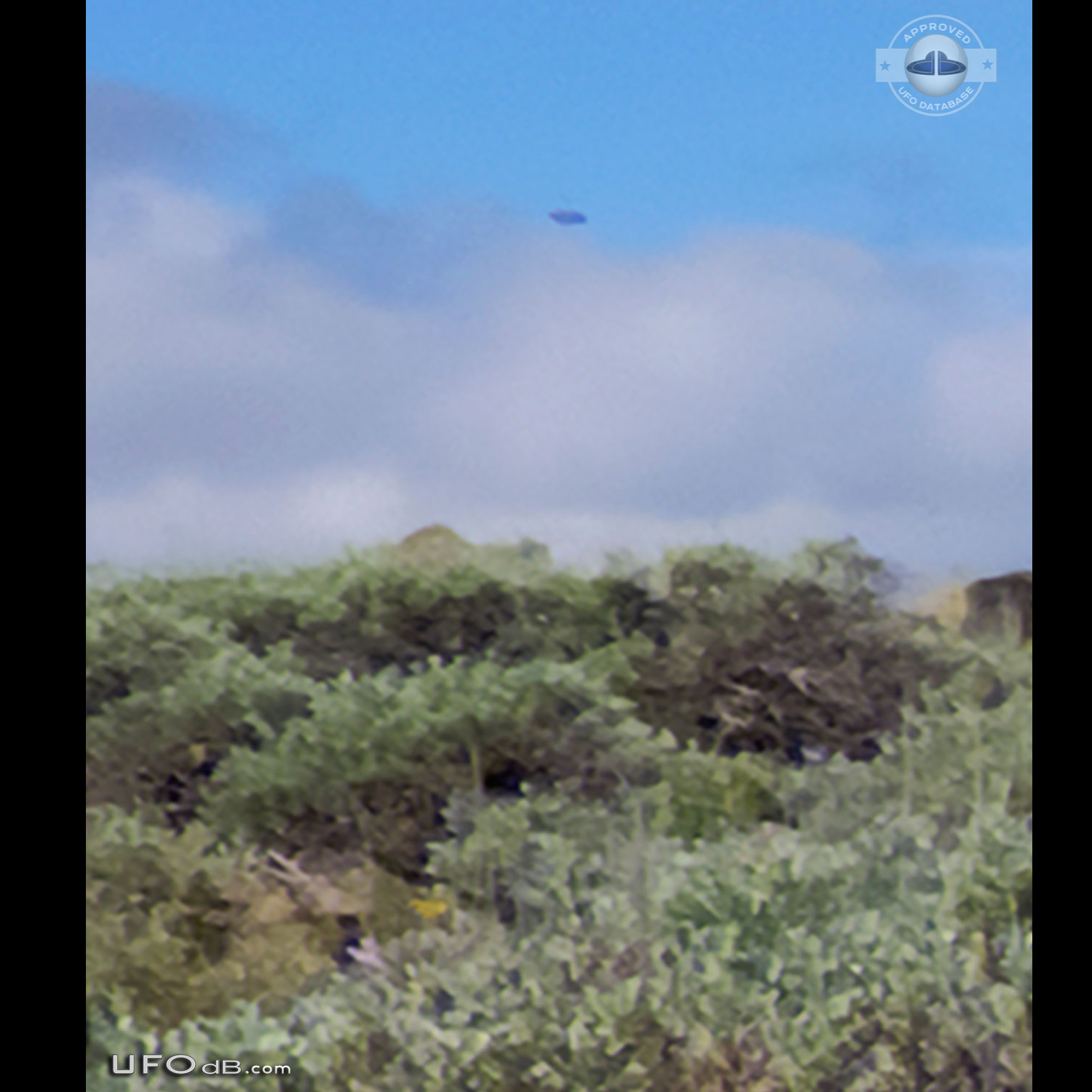 Clear picture Saucer UFO in bright sky over Plush, Oregon in June 2011 UFO Picture #634-1