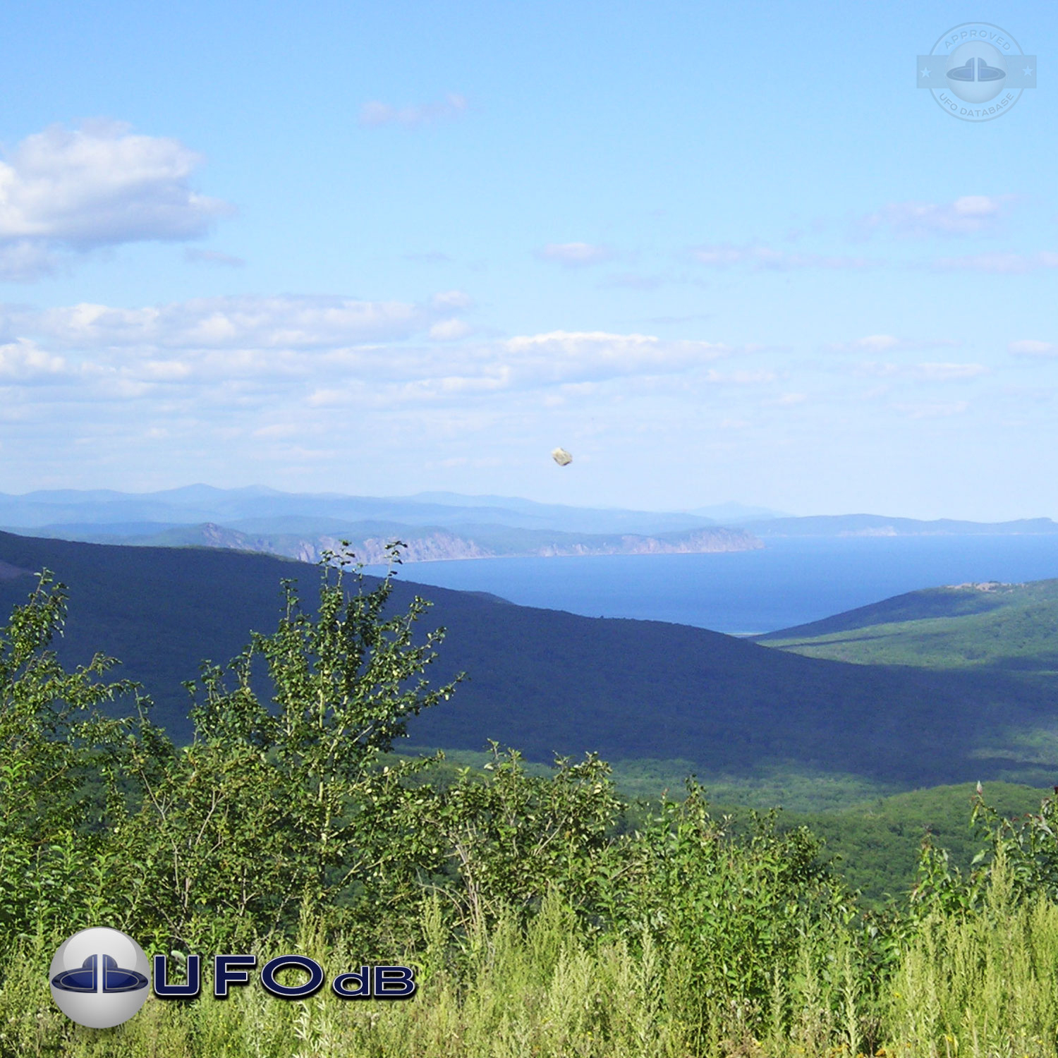 UFO Probe in remote region of Terneysky, Primorsky Russia August 2004 UFO Picture #205-1