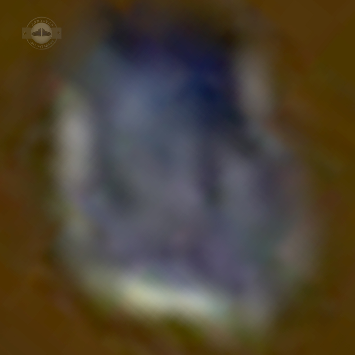 UFO Probe in remote region of Terneysky, Primorsky Russia August 2004 UFO Picture #205-8