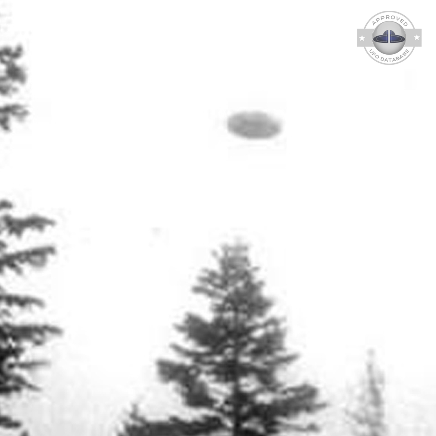 Bright white sky on which we can see the grey UFO Czaplinek, Poland UFO Picture #112-3