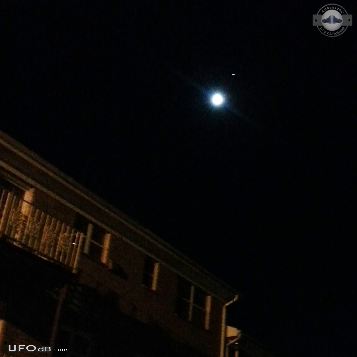 Dog going crazy for UFO in Woodland Park New Jersey USA 2016 UFO Picture #789-1
