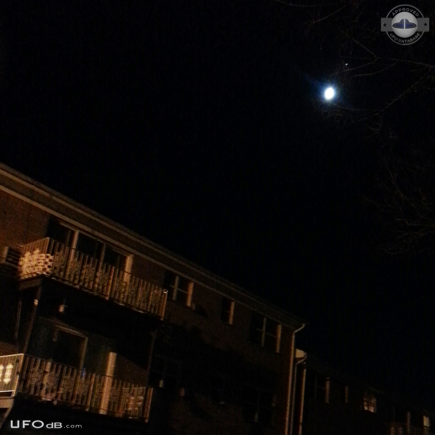 Dog going crazy for UFO in Woodland Park New Jersey USA 2016 UFO Picture #789-2