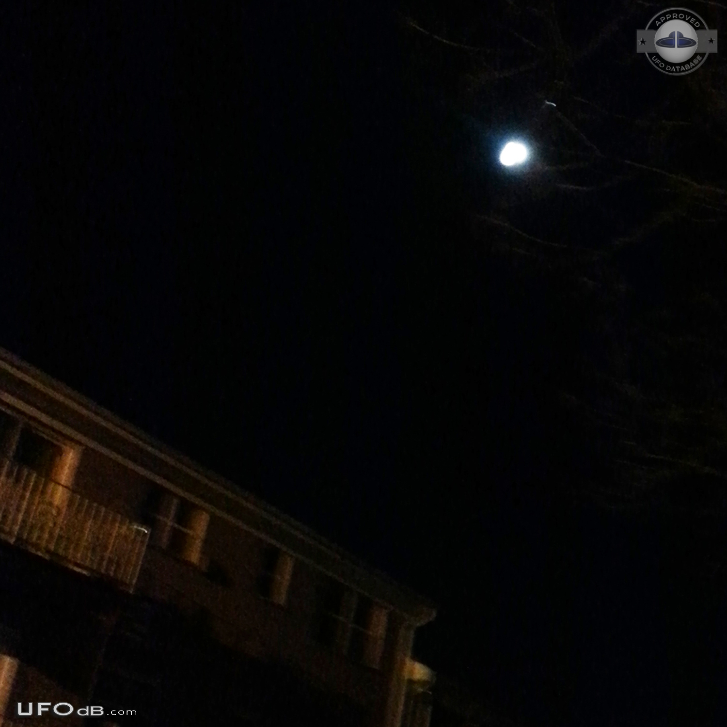 Dog going crazy for UFO in Woodland Park New Jersey USA 2016 UFO Picture #789-3