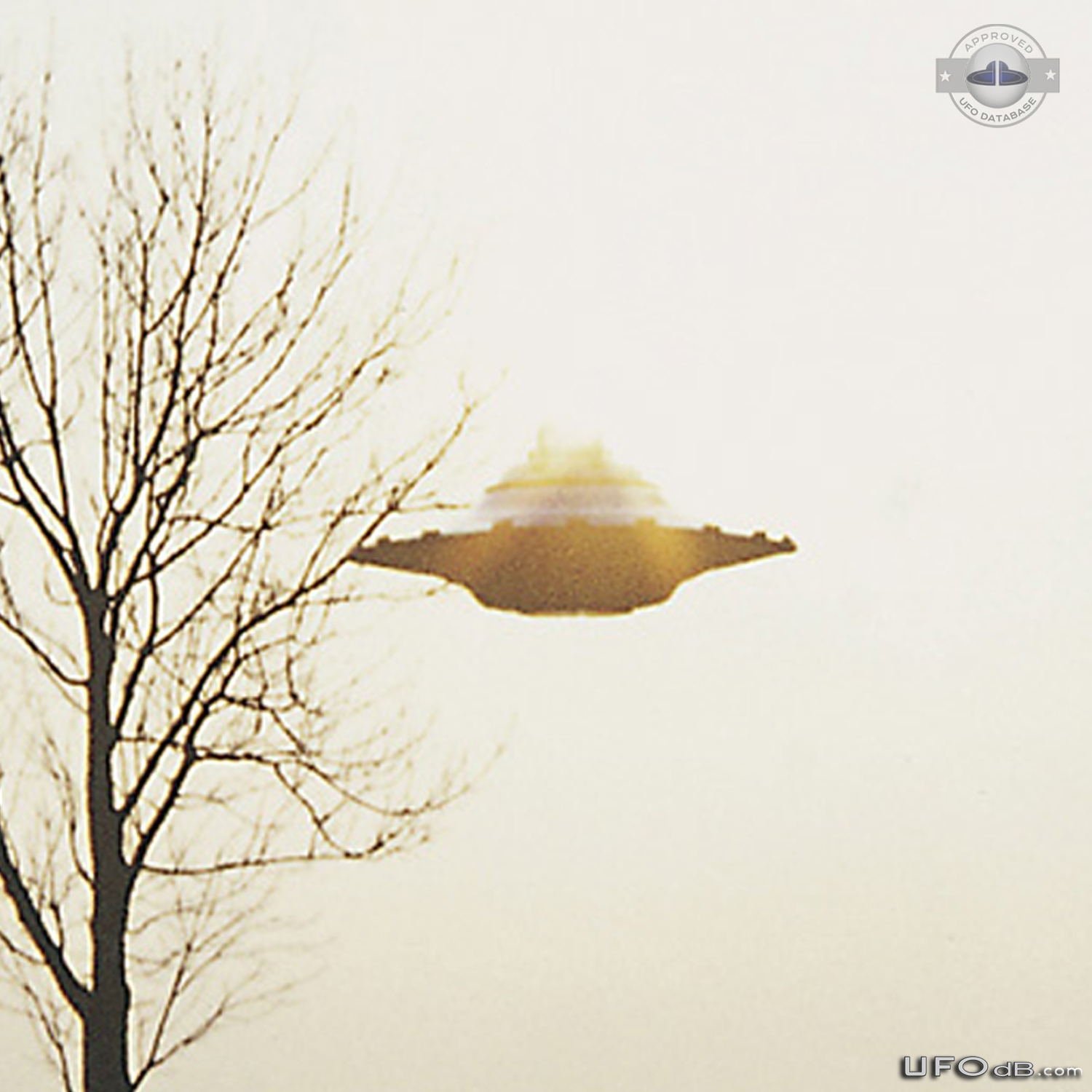 Alien of Pleiadian race driving a UFO | Billy Meier | Switzerland 1976 UFO Picture #256-6