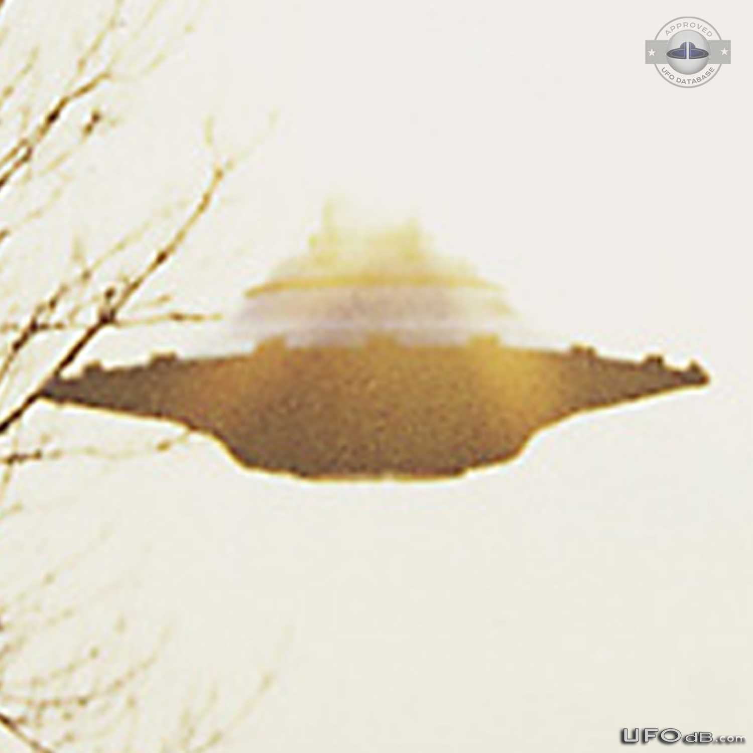 Alien of Pleiadian race driving a UFO | Billy Meier | Switzerland 1976 UFO Picture #256-7