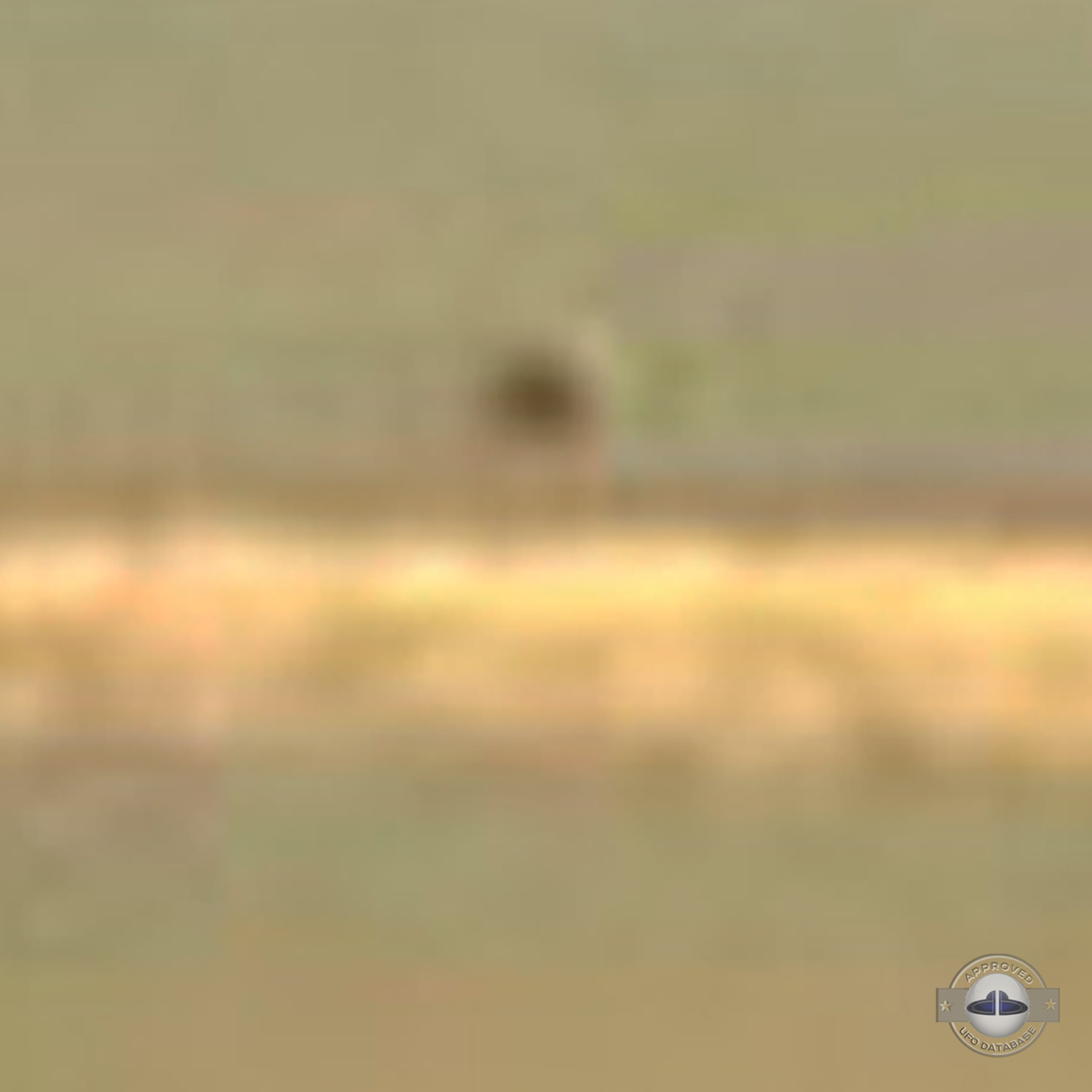UFO near jet smoke line | Hyderabad India UFO picture September 2008 UFO Picture #170-5