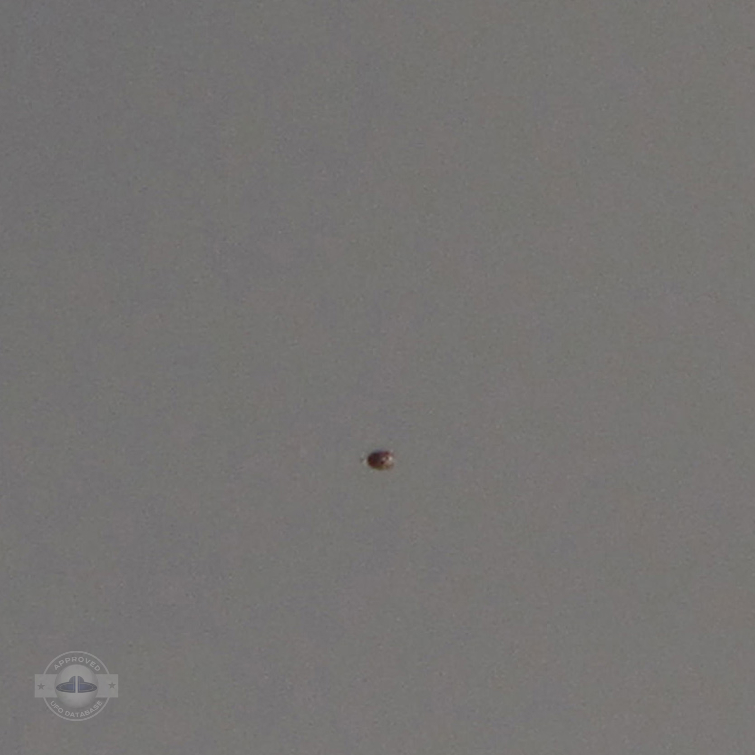 Glowing Reddish Brown 10 foot UFO | Kumeu Auckland, New Zealand 2011 UFO Picture #211-2