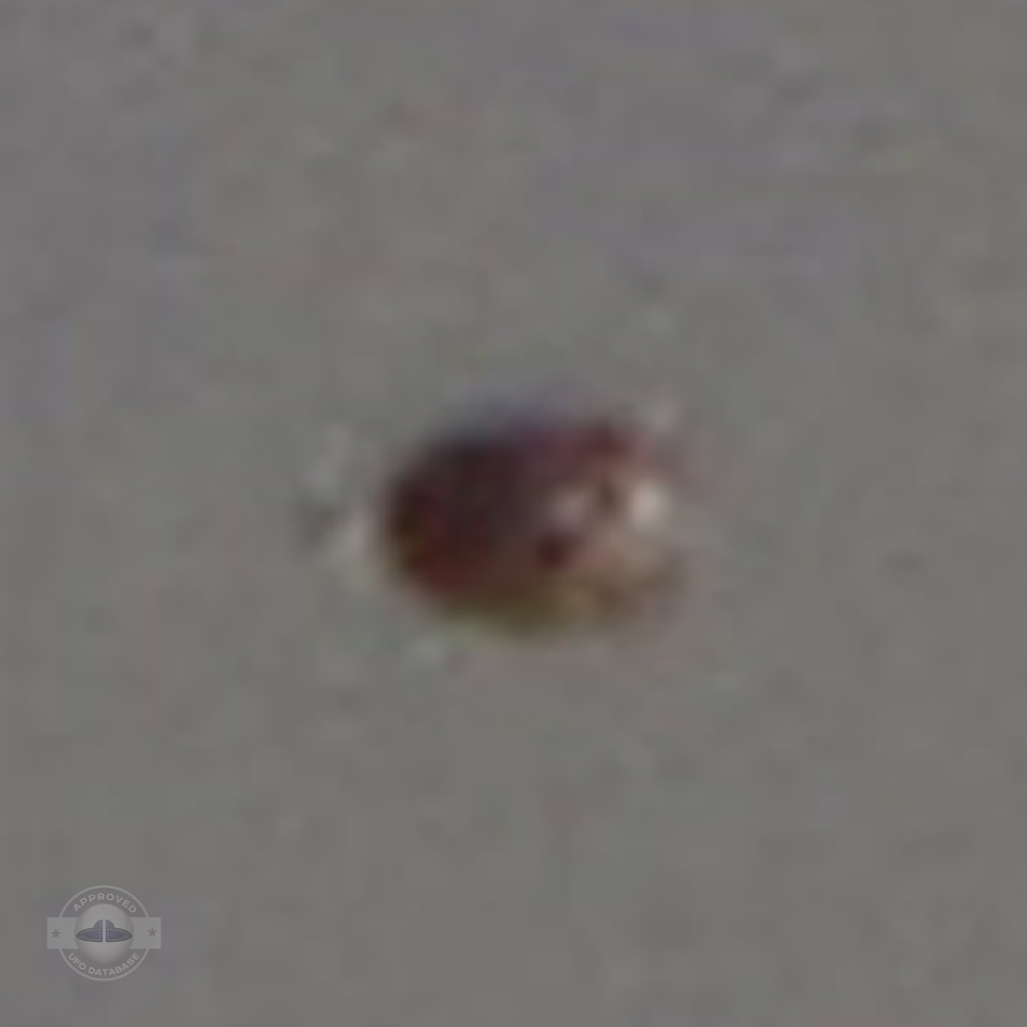 Glowing Reddish Brown 10 foot UFO | Kumeu Auckland, New Zealand 2011 UFO Picture #211-4