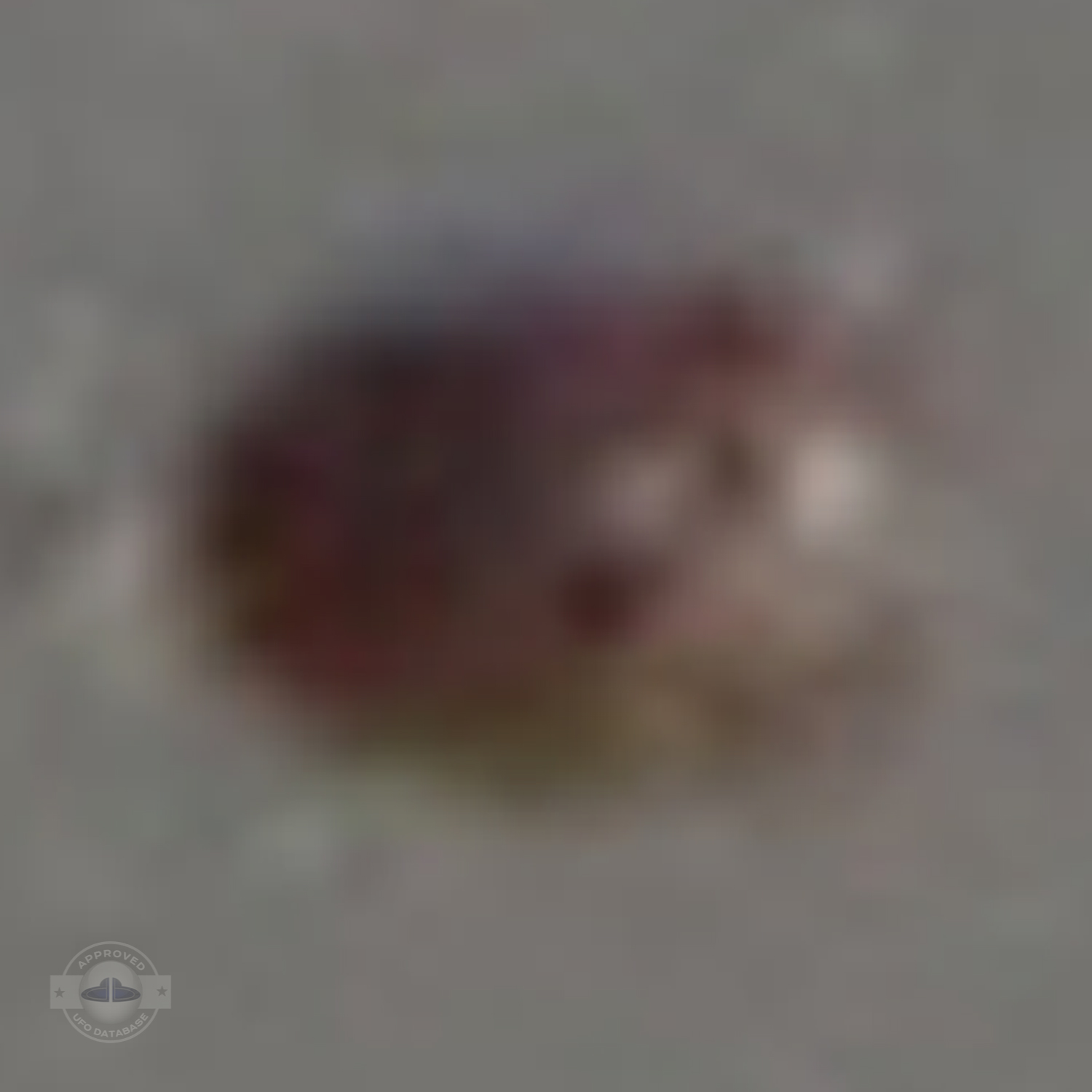Glowing Reddish Brown 10 foot UFO | Kumeu Auckland, New Zealand 2011 UFO Picture #211-5
