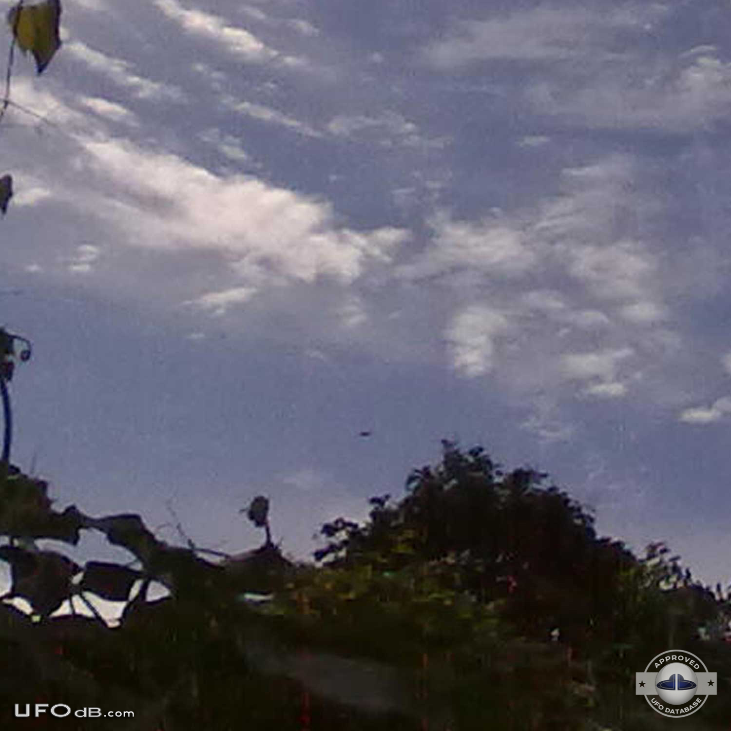 Newyorker with 170 ufo sightings gives us ufo pictures to prove it UFO Picture #401-5