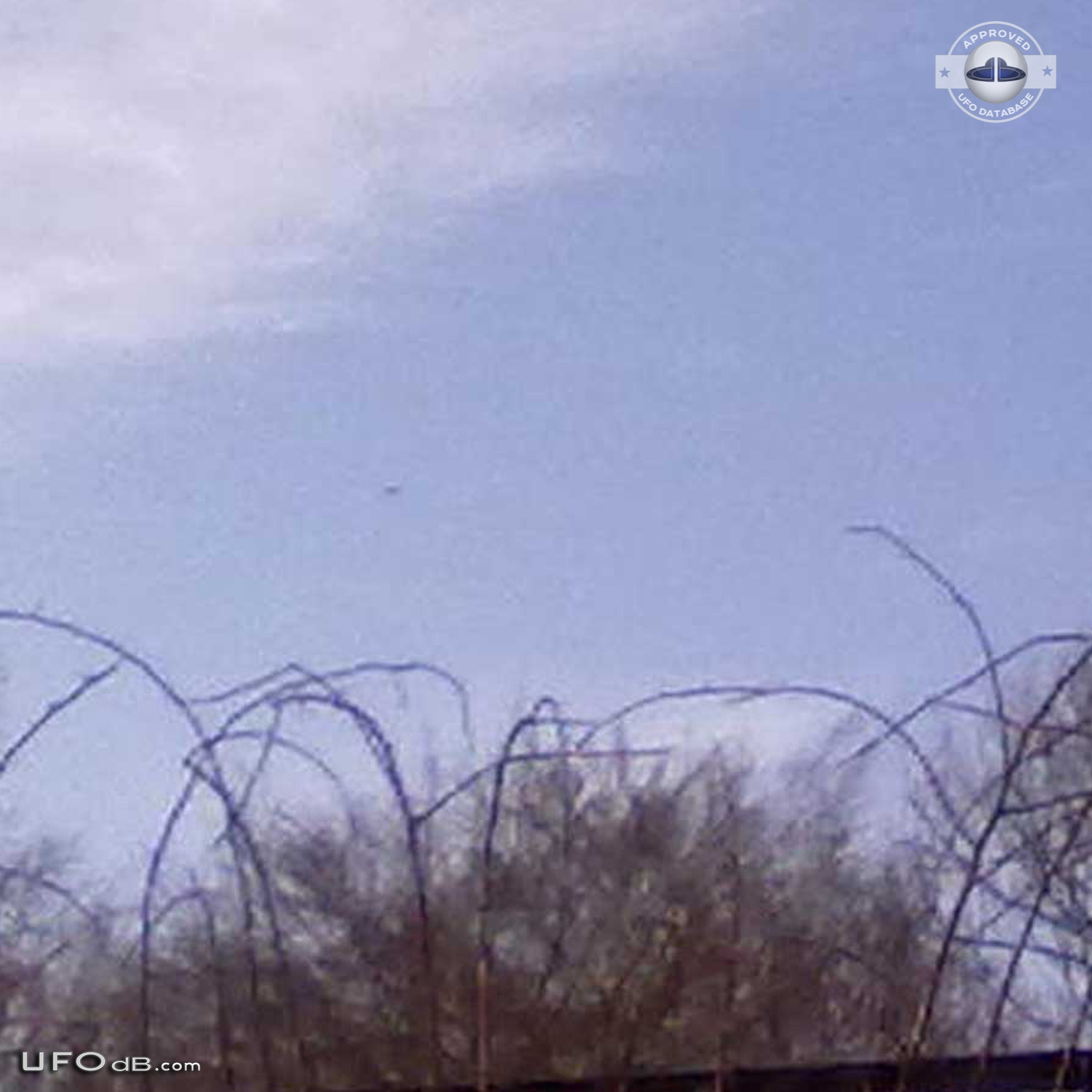 Newyorker with 170 ufo sightings gives us ufo pictures to prove it UFO Picture #401-7