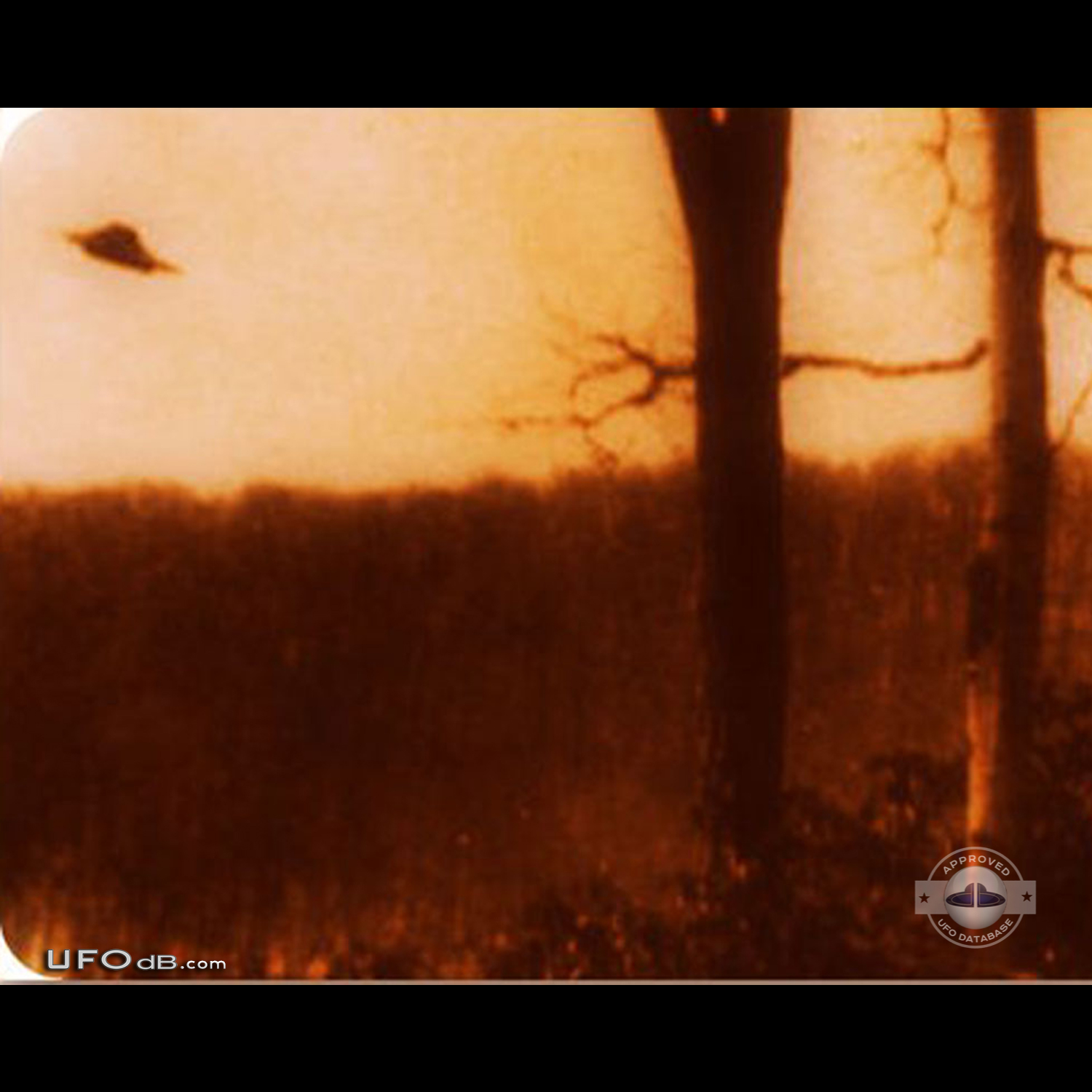Old 1966 UFO picture taken near Lake Tiorati, Orange County New York UFO Picture #633-2