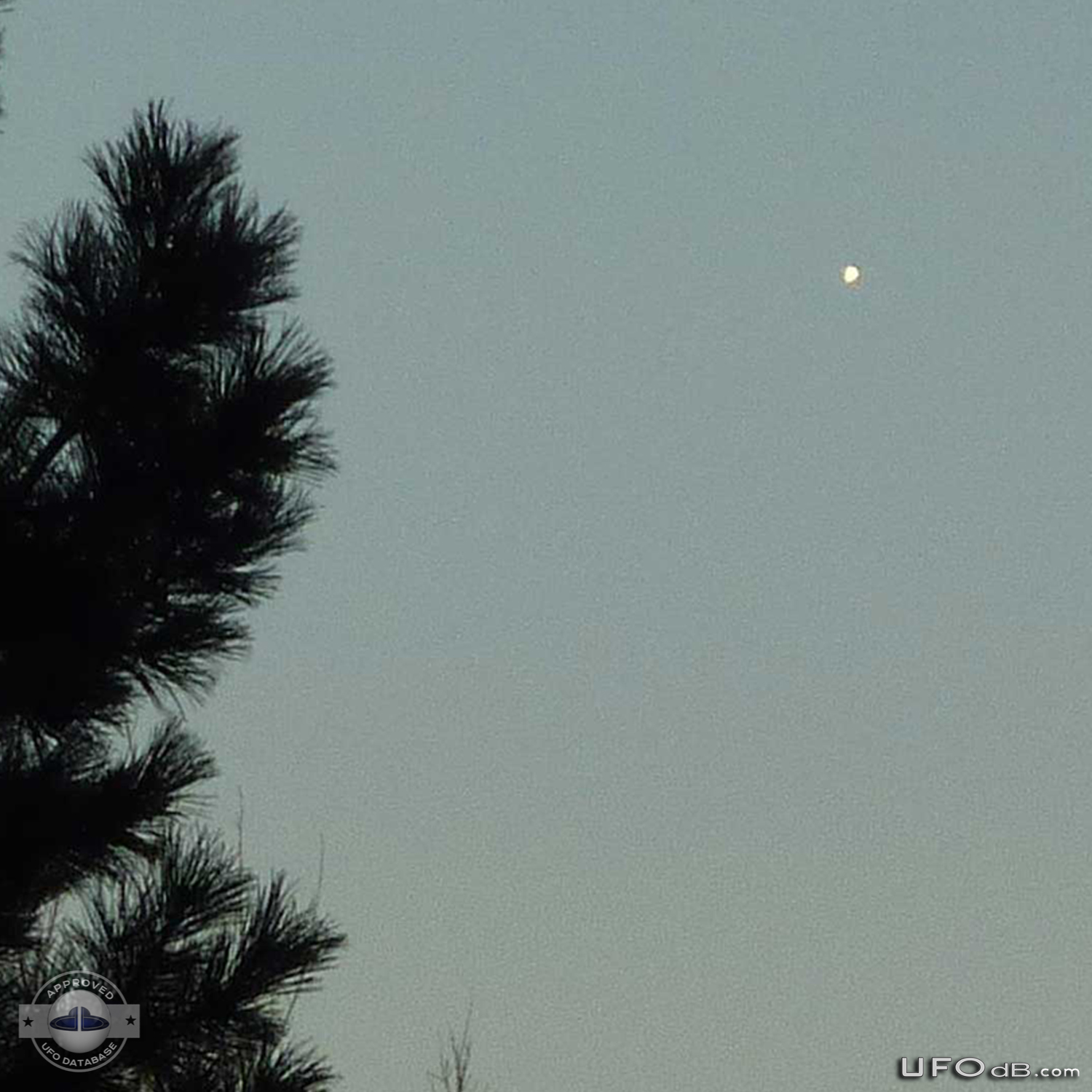 Orb UFO caught on picture in the sky of Lakewood Colorado January 2012 UFO Picture #395-2