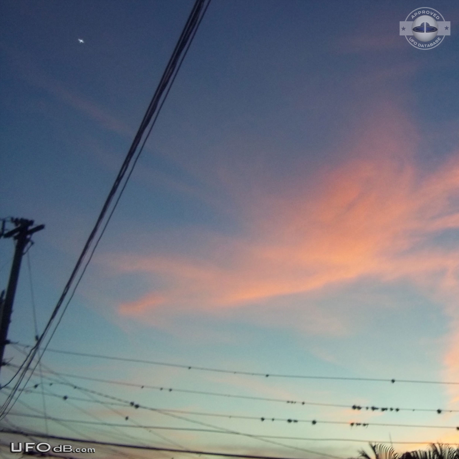 Picture of Sunset Sky captures a UFO over Kingston, Jamaica - 2010 UFO Picture #470-1