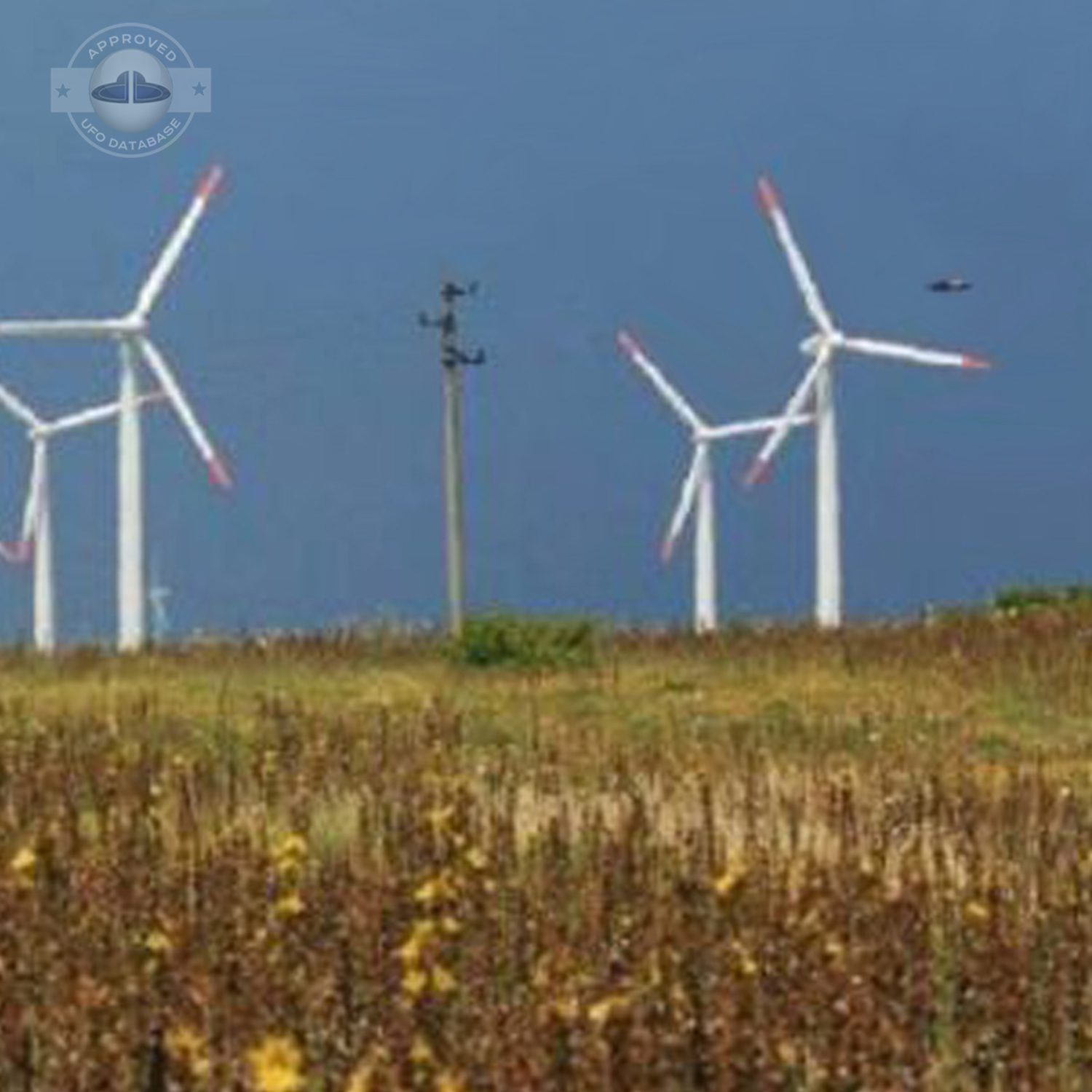 UFO near power lines and Wind turbines | Bulgaria Black Sea Coast 2005 UFO Picture #210-2