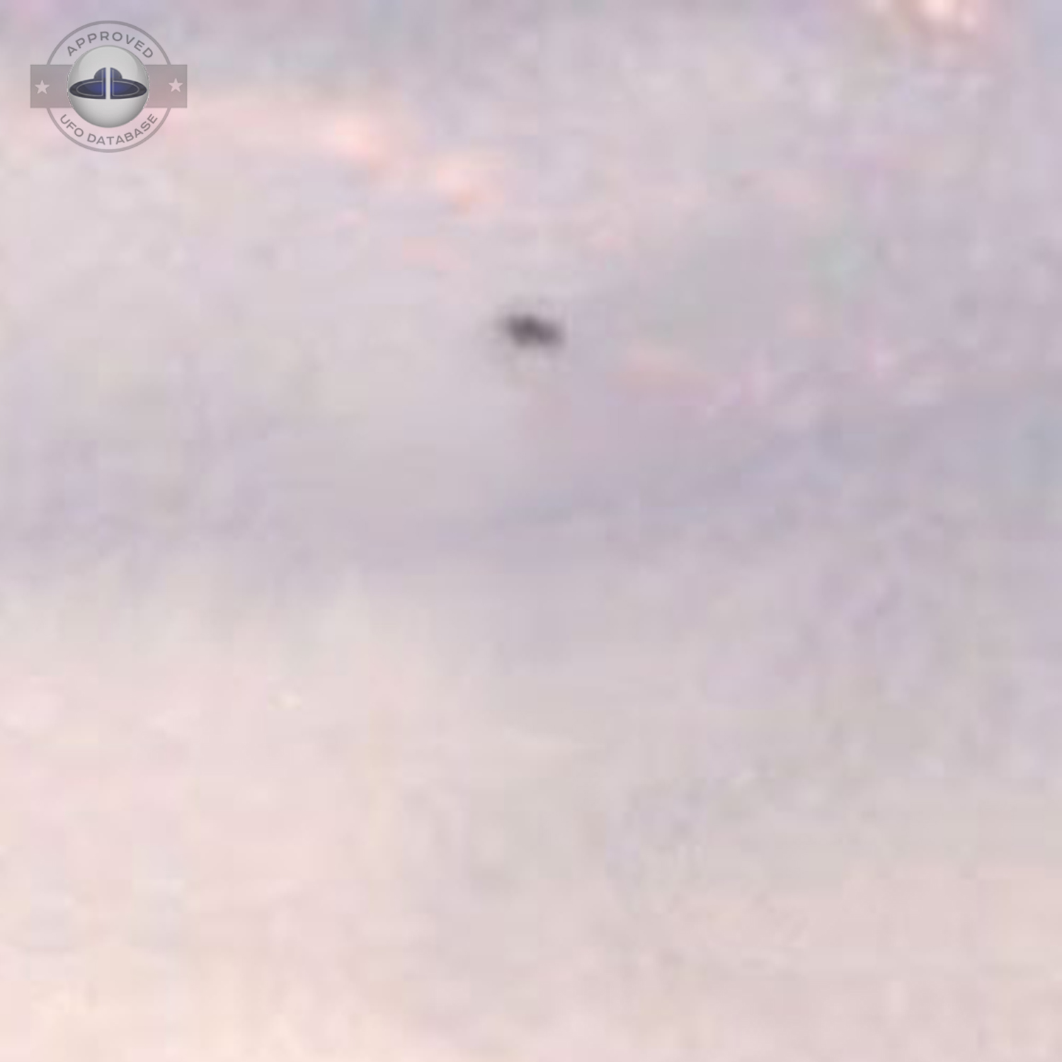 UFO flying over pasture with lama and horse in grey cloudy sky UFO Picture #19-3