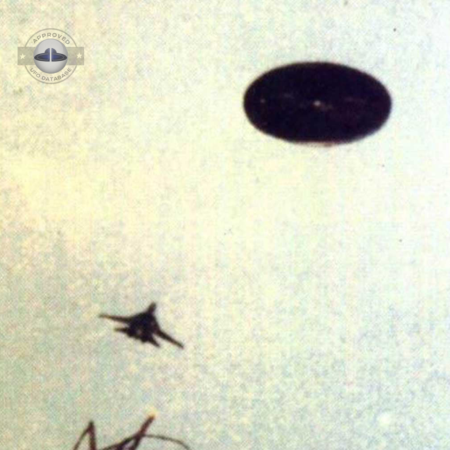 Ufo picture taken by Amaury Rivera who says that he was abducted also UFO Picture #68-2