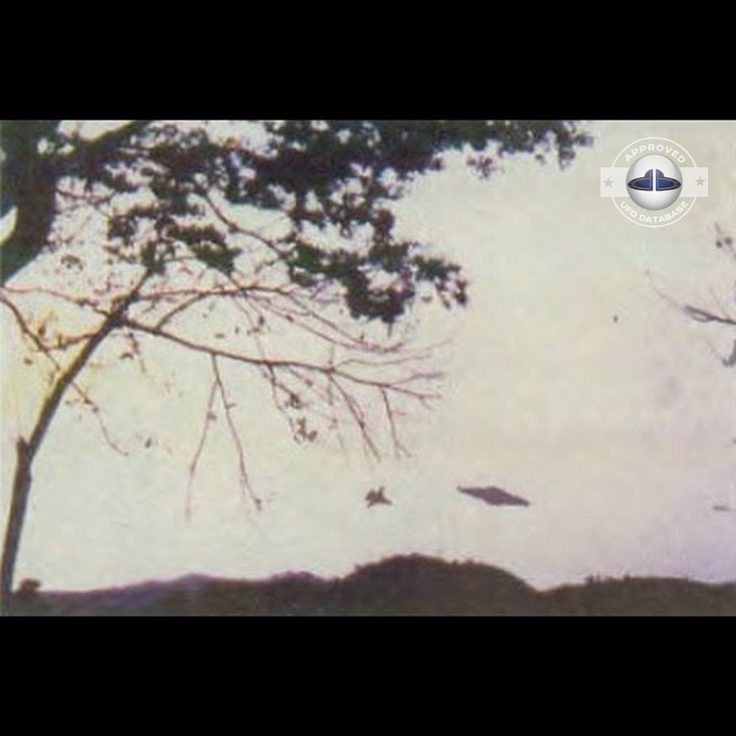 Ufo picture taken by Amaury Rivera who says that he was abducted also UFO Picture #68-3
