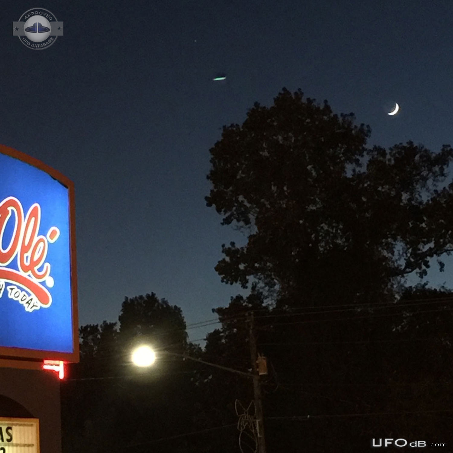 Saw the UFO later when I noticed whatever this is in the photo Jasper  UFO Picture #734-2