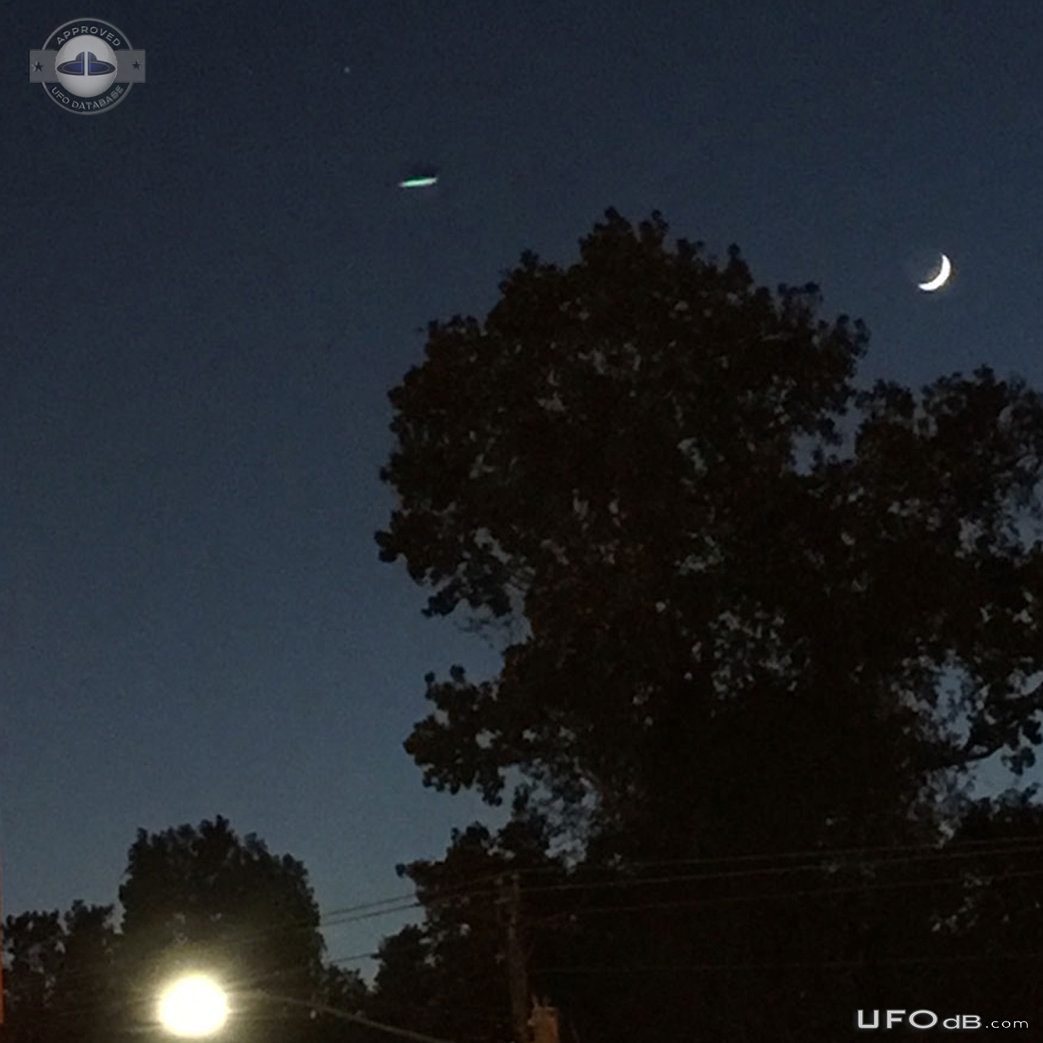 Saw the UFO later when I noticed whatever this is in the photo Jasper  UFO Picture #734-3