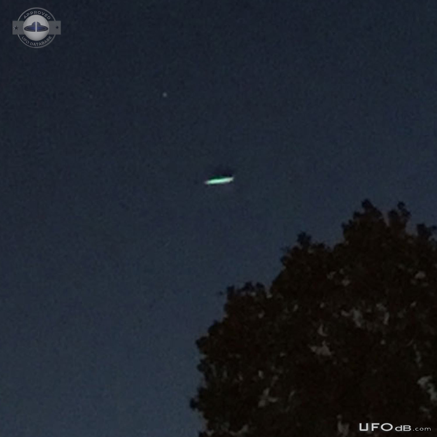 Saw the UFO later when I noticed whatever this is in the photo Jasper  UFO Picture #734-4