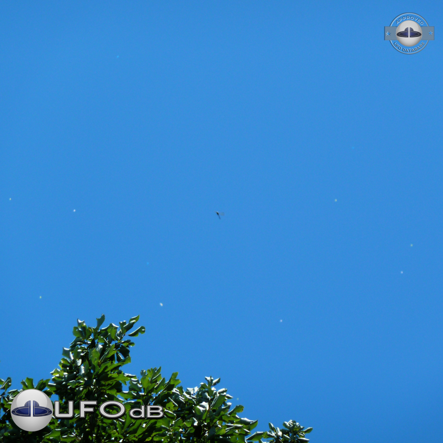 Massive Fleet of UFOs over Yokohama | Kanagawa, Japan | November 2010 UFO Picture #193-1
