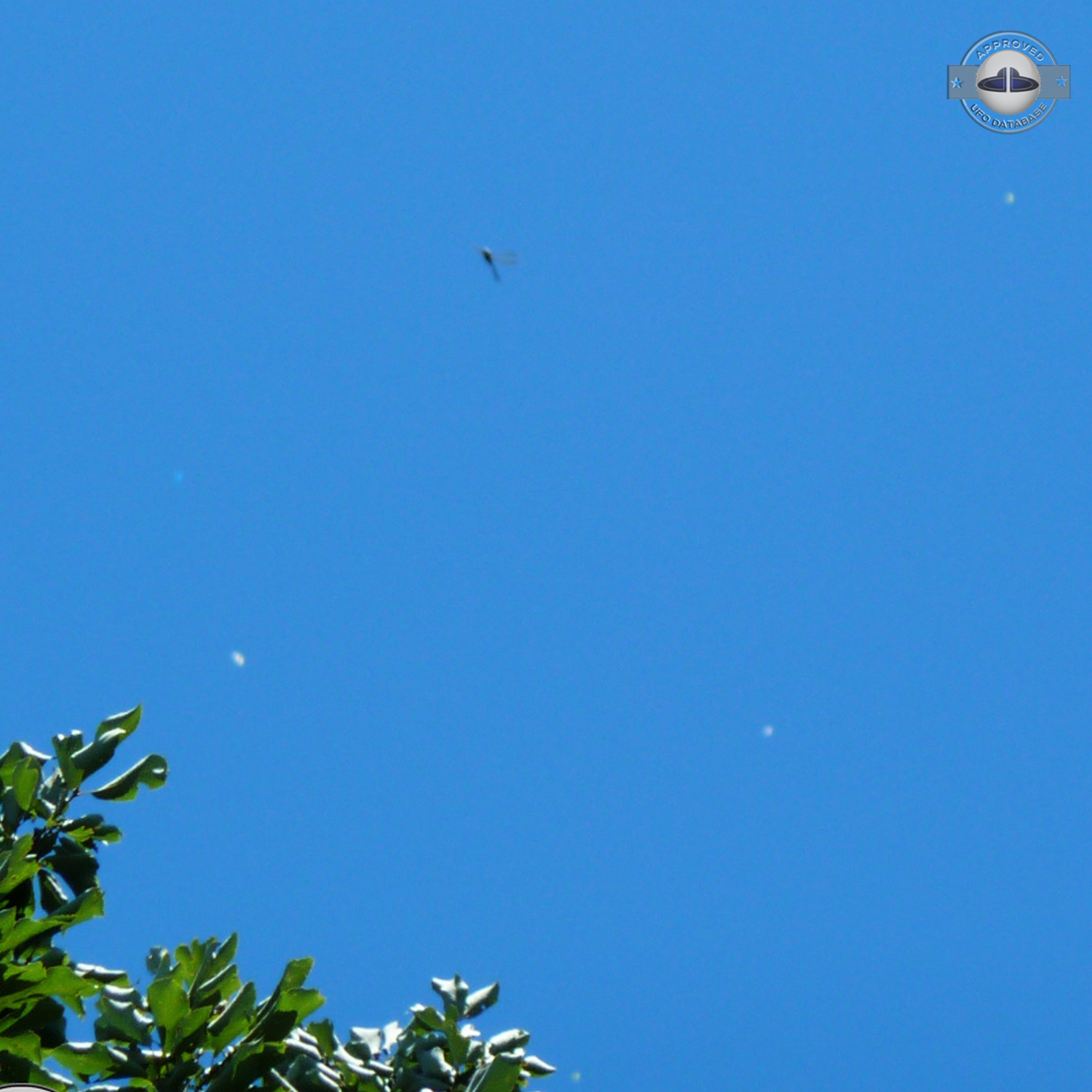 Massive Fleet of UFOs over Yokohama | Kanagawa, Japan | November 2010 UFO Picture #193-2
