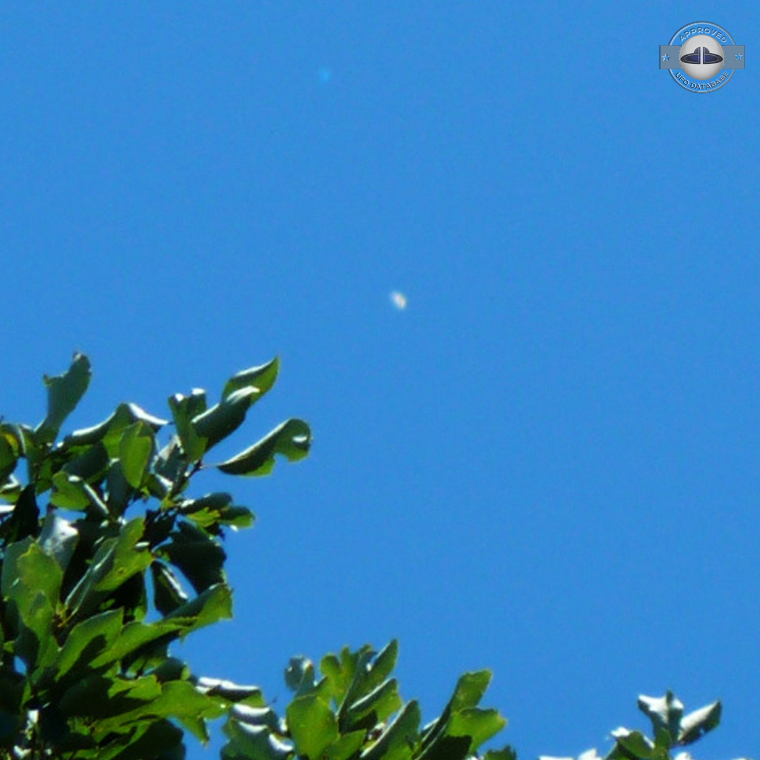 Massive Fleet of UFOs over Yokohama | Kanagawa, Japan | November 2010 UFO Picture #193-3