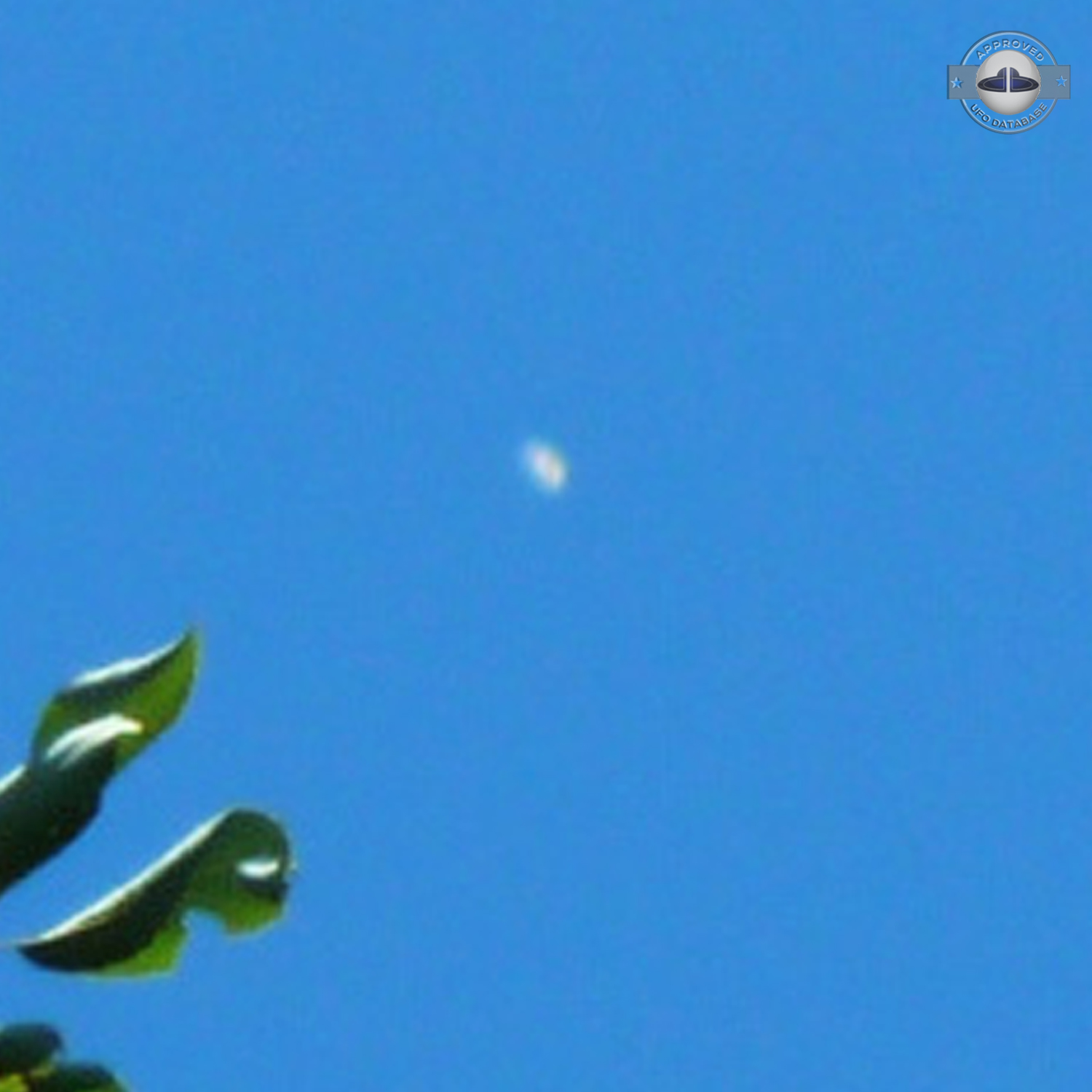Massive Fleet of UFOs over Yokohama | Kanagawa, Japan | November 2010 UFO Picture #193-4