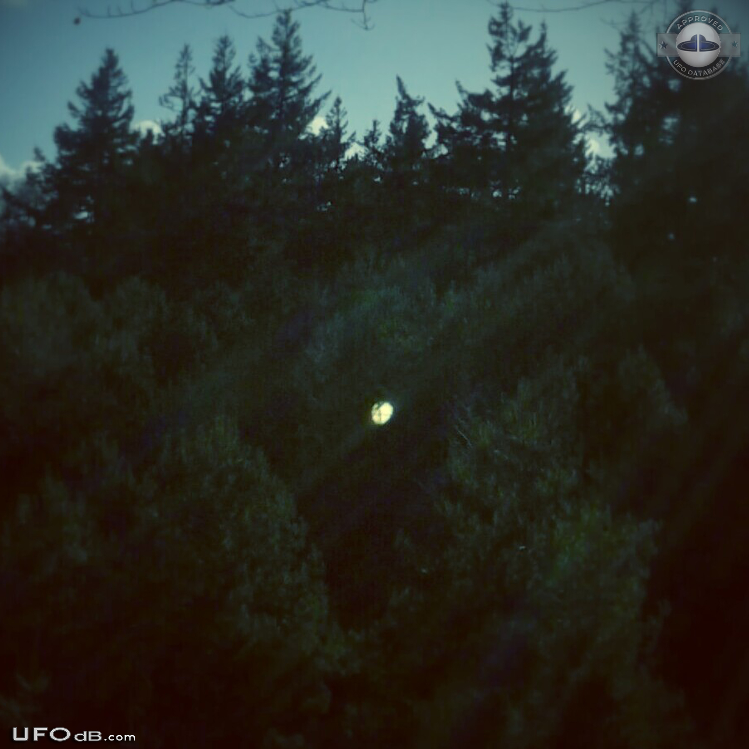 Silent Gold Disc UFO caught on picture - Rhenen, the Netherlands 2014 UFO Picture #572-1