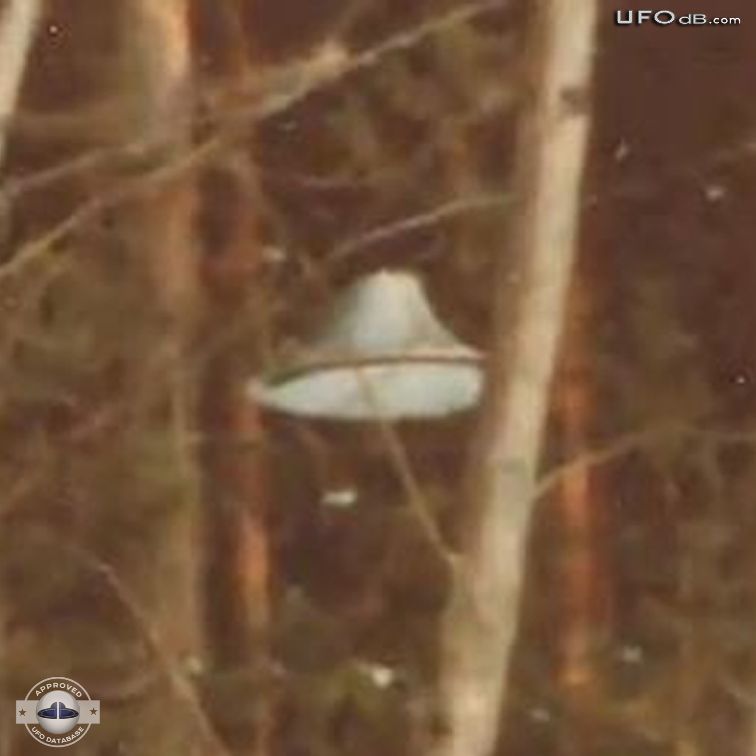 Suonenjoki UFO probe going around trees in the forest | March 16 1979 UFO Picture #336-9