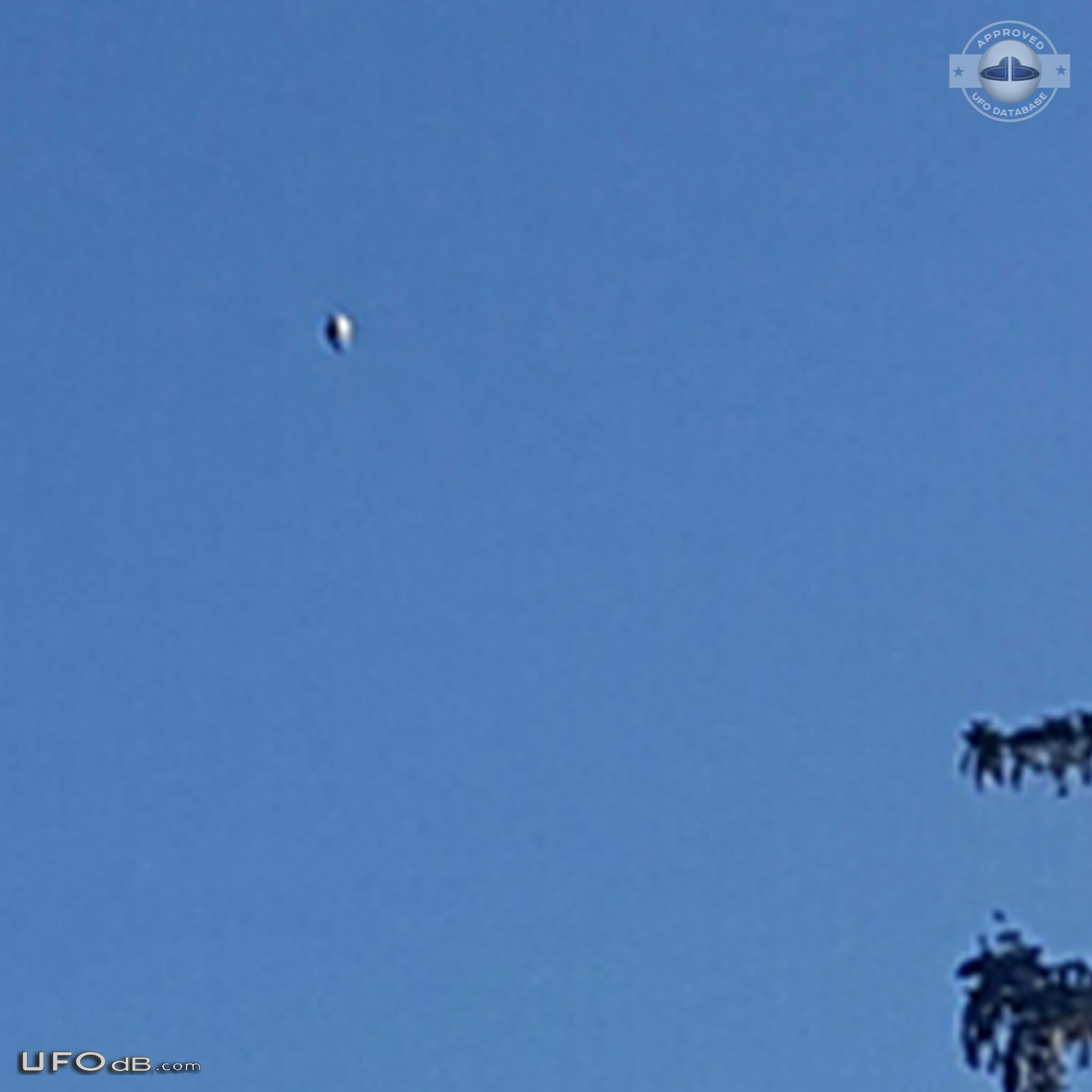 UFO seen near low-flying cropduster
