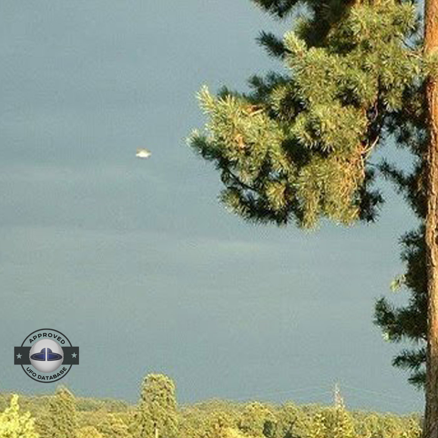 UFO picture - UFO passing in a sunset sky over houses | Watford, UK UFO Picture #142-2
