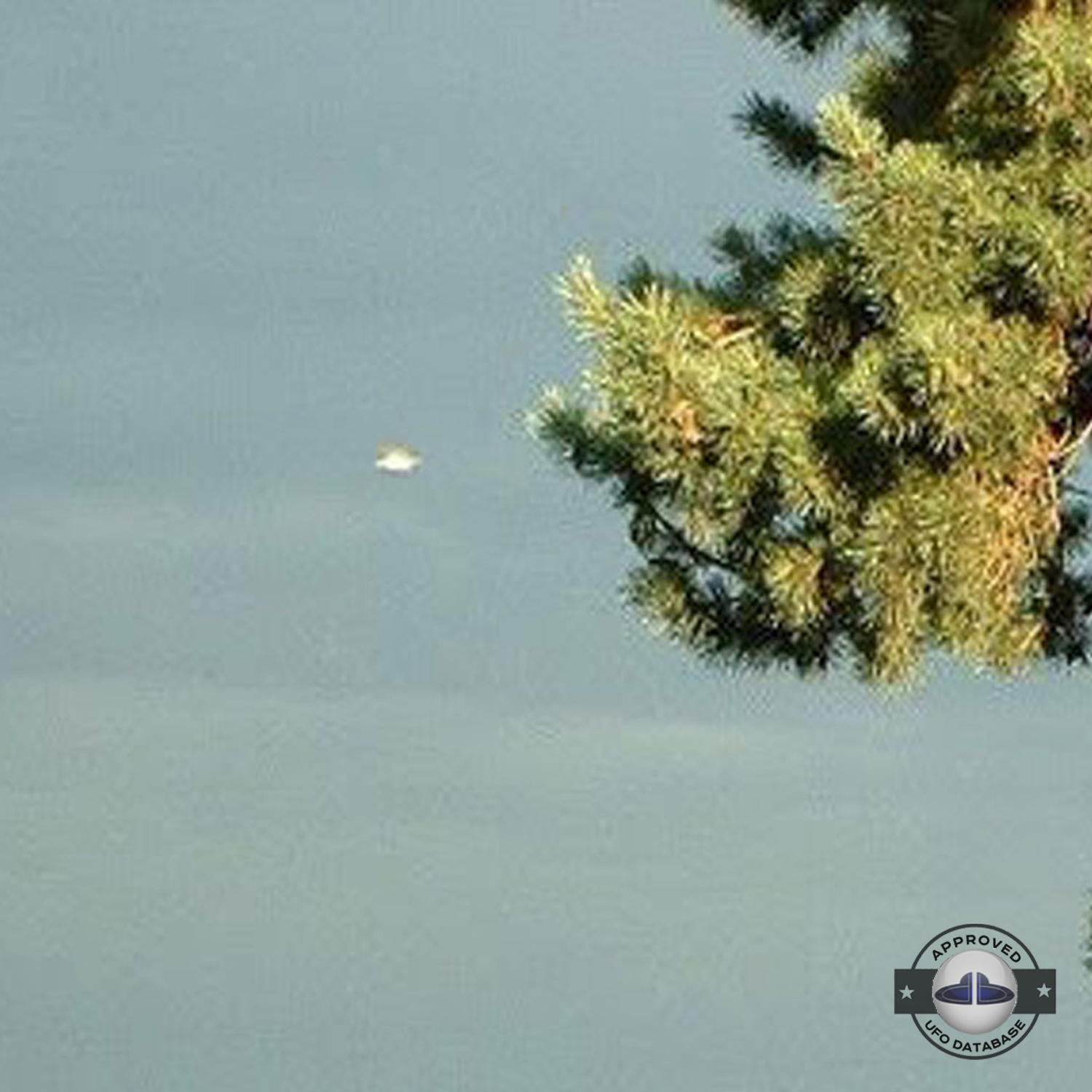 UFO picture - UFO passing in a sunset sky over houses | Watford, UK UFO Picture #142-3
