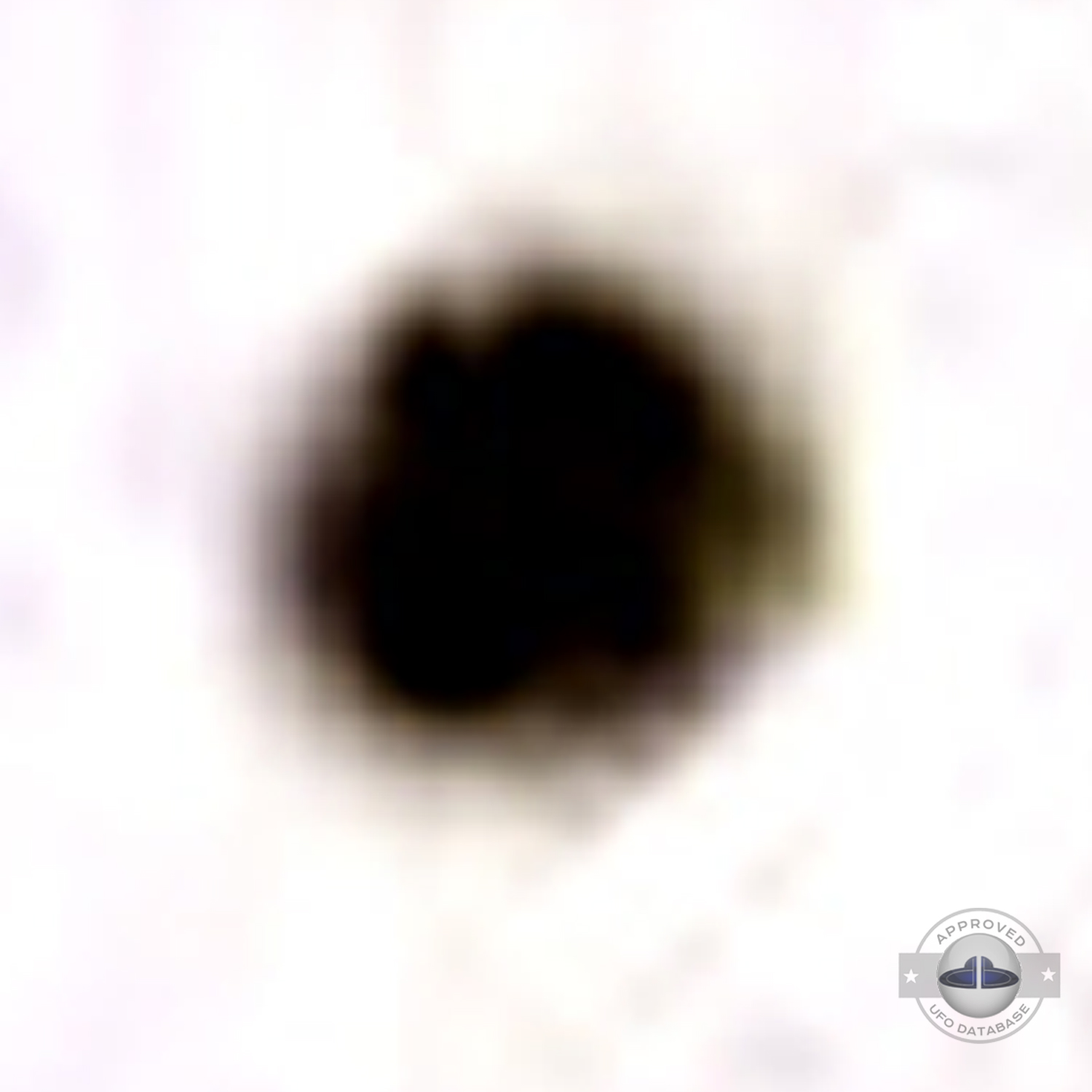 World War II Japanese Sally Bomber followed by UFO (Foo Fighters) UFO Picture #209-5