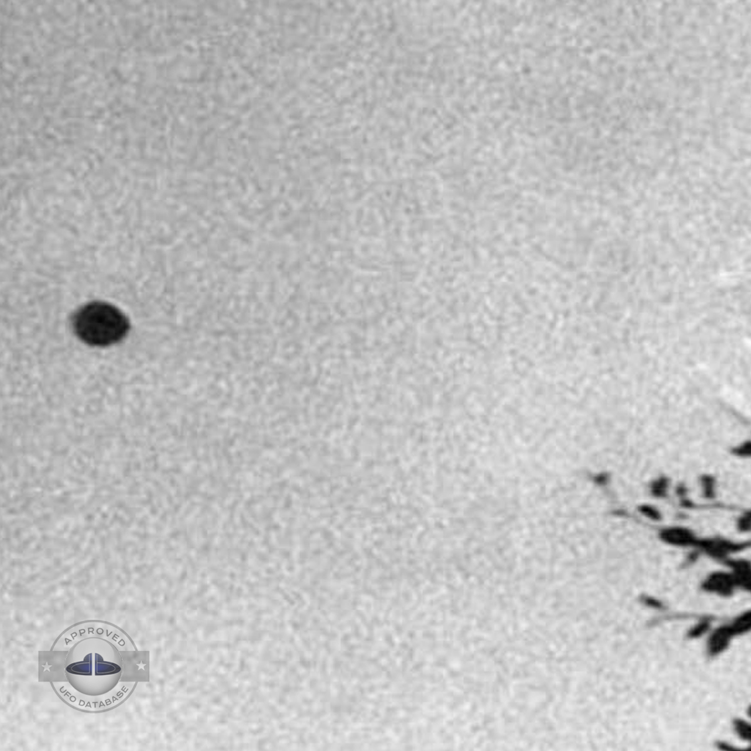 UFO picture taken by Andre Fregnale around lake Chauvet in Picherande UFO Picture #71-3