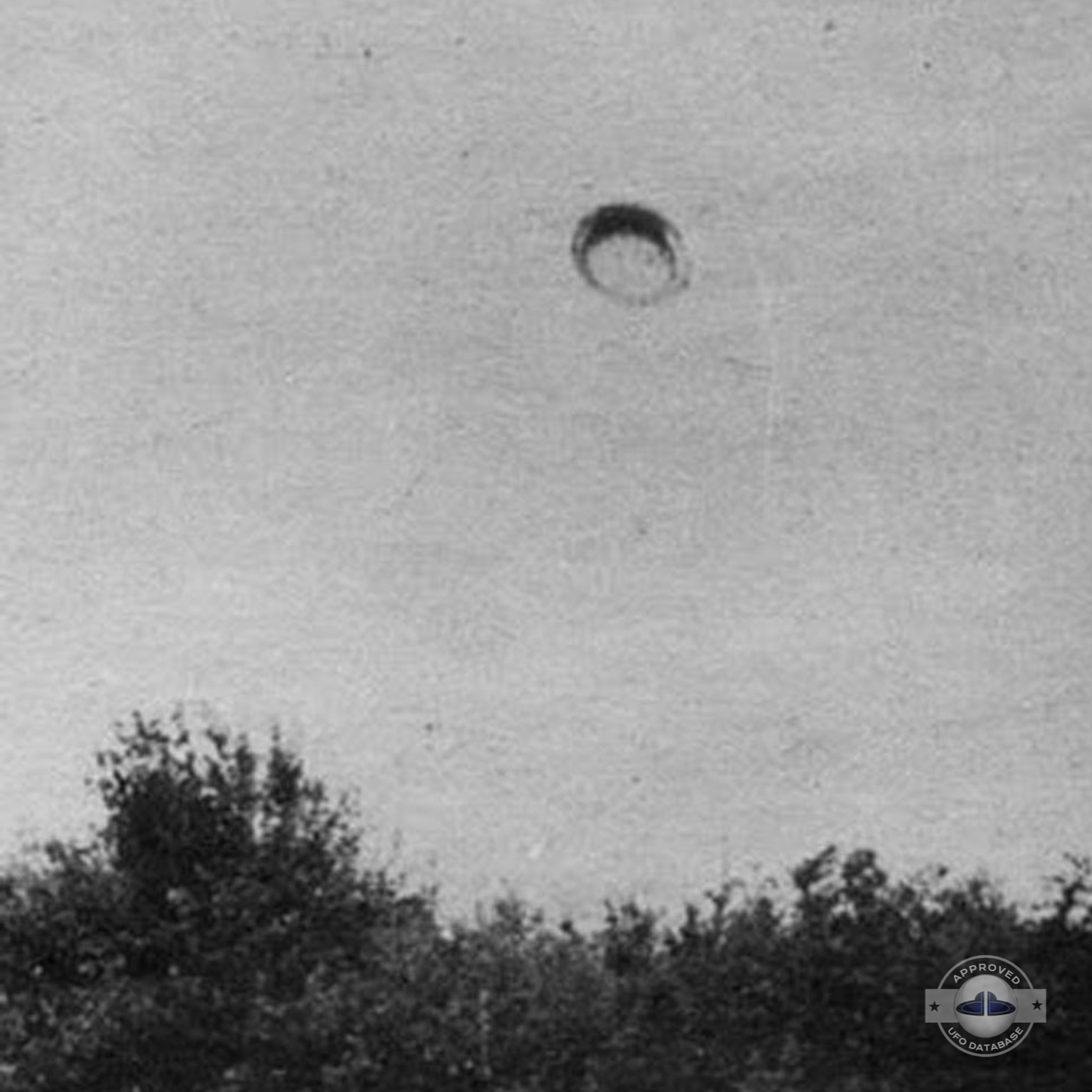 The ufo move slowly with his luminosity growing to suddenly disappear UFO Picture #67-2