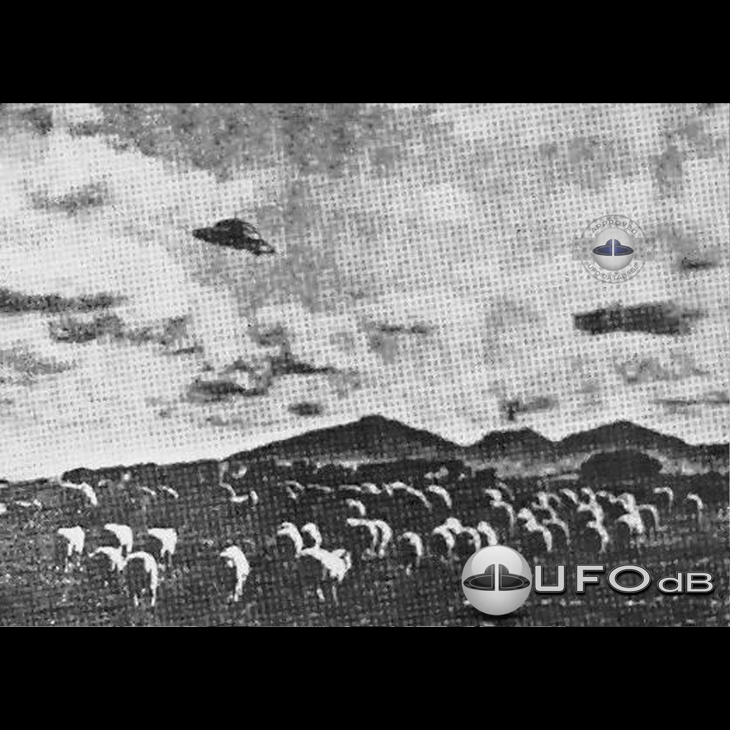 UFO over a flock of sheep Sighting in North Queensland Australia 1954 UFO Picture #100-1