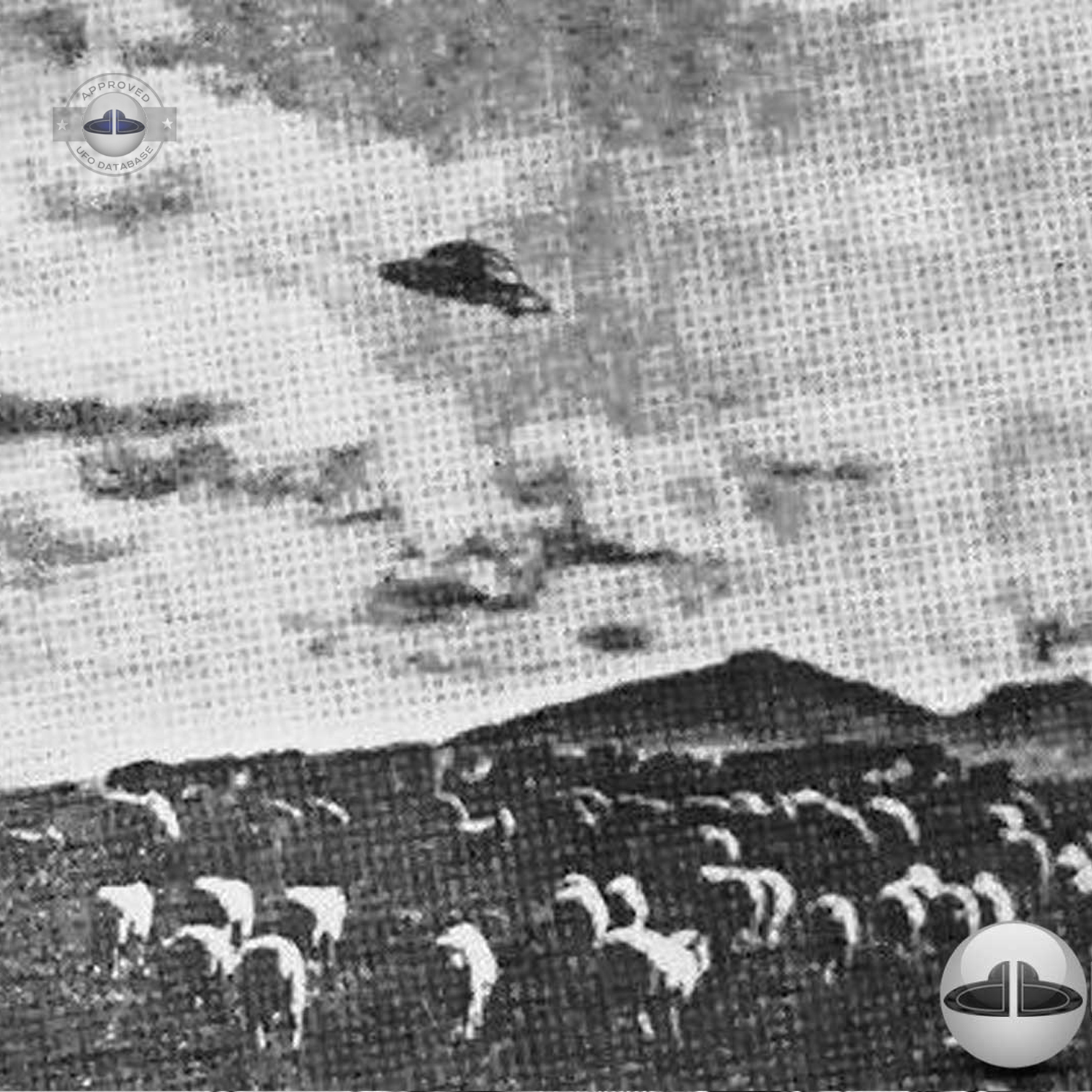 UFO over a flock of sheep Sighting in North Queensland Australia 1954 UFO Picture #100-2