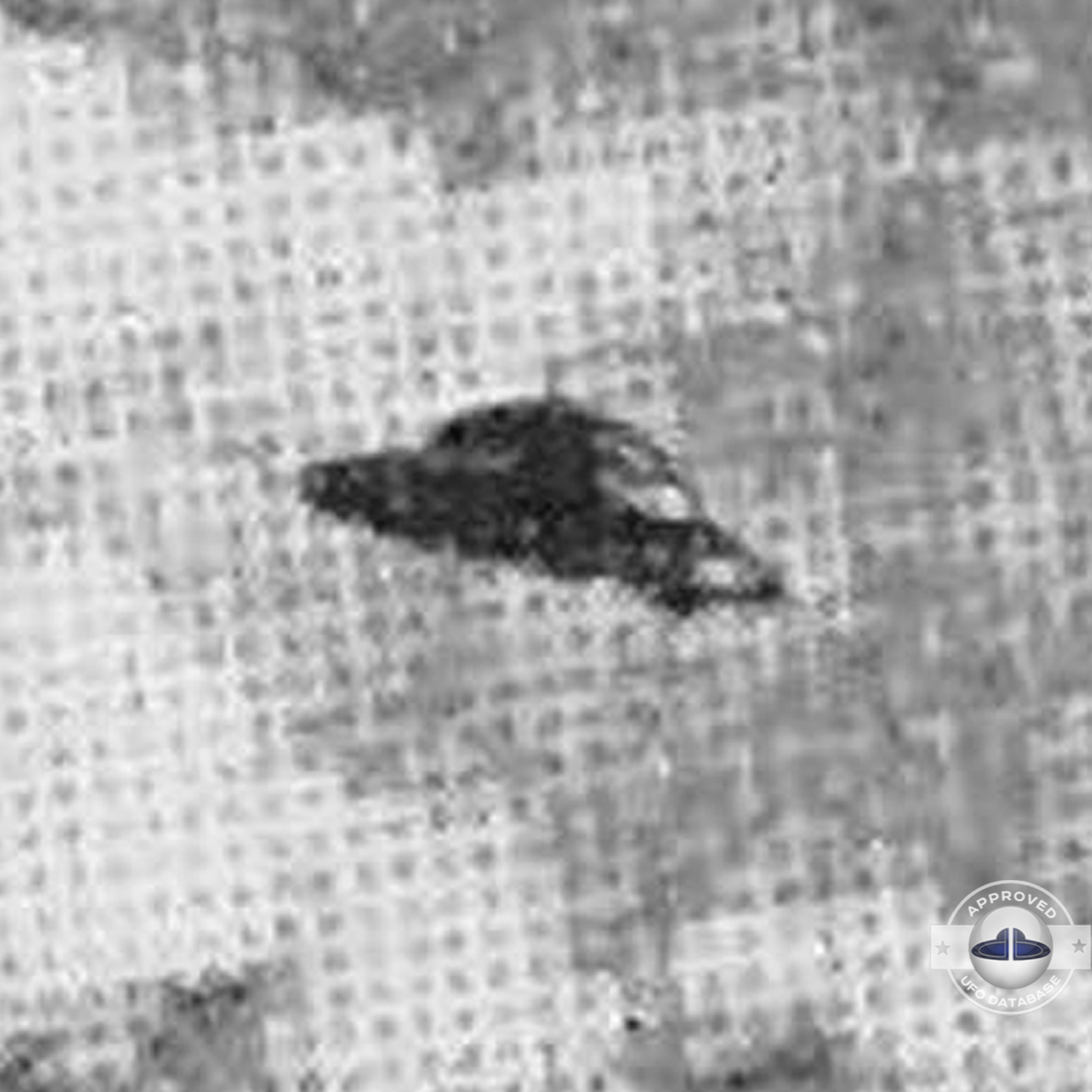 UFO over a flock of sheep Sighting in North Queensland Australia 1954 UFO Picture #100-4