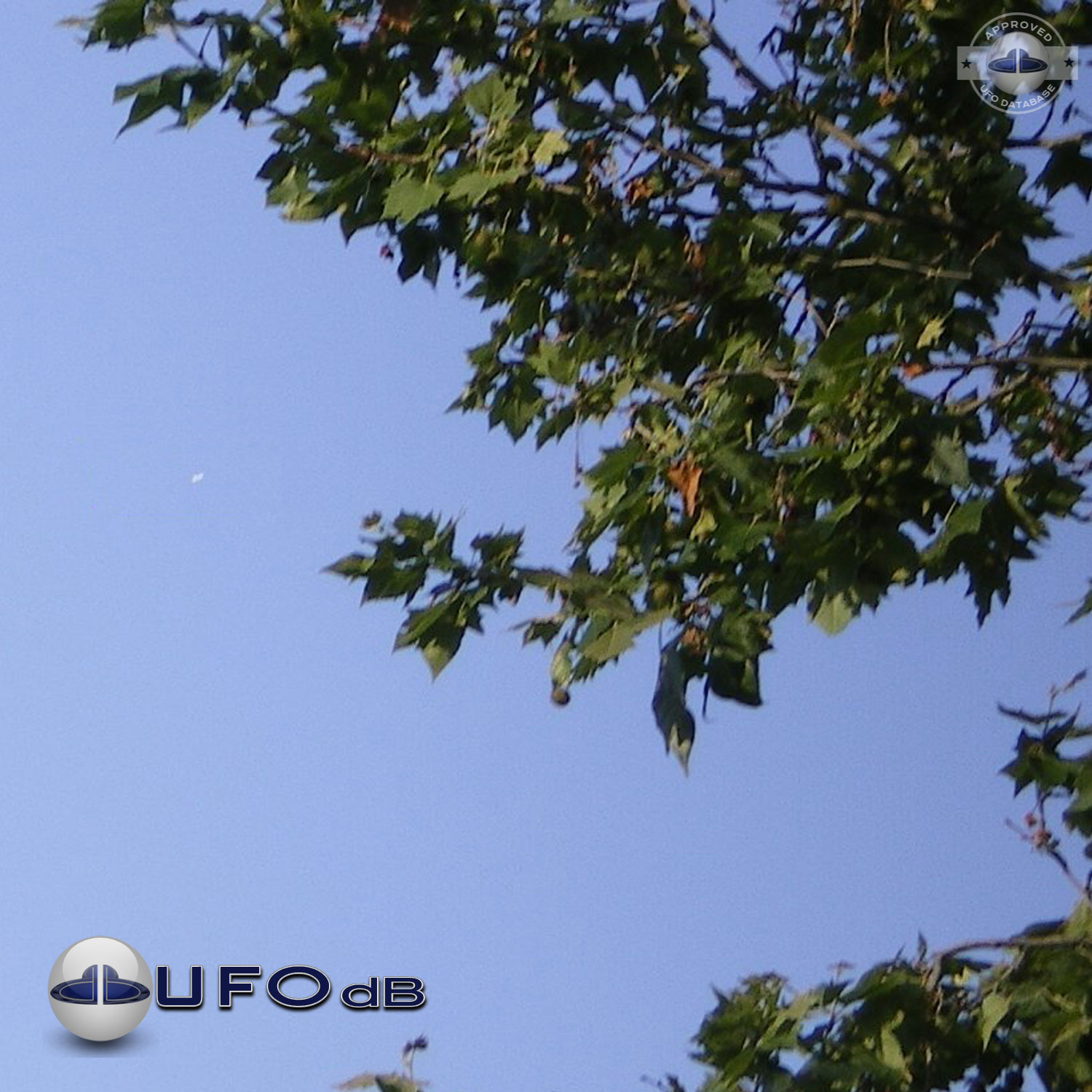 UFO in a blue sky near the pont des demoiselles in Toulouse UFO Picture #11-1
