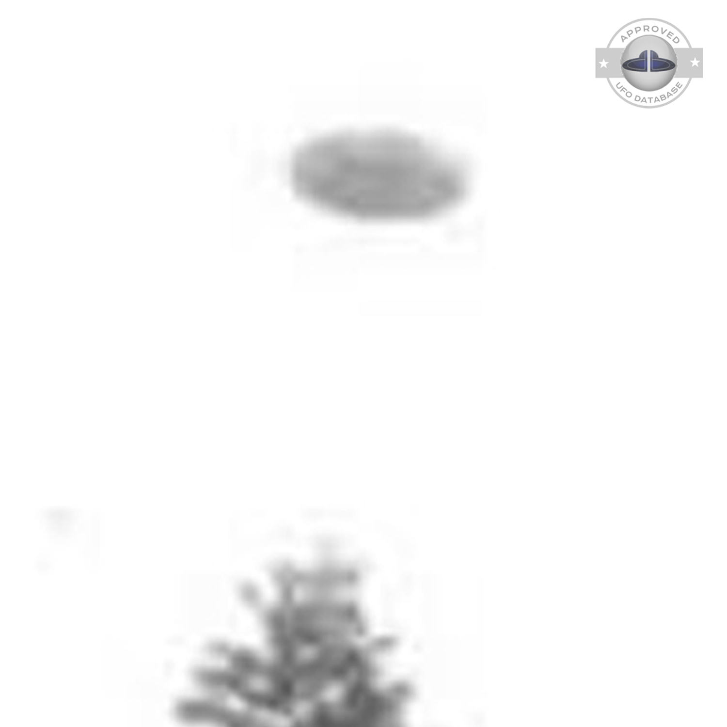 Bright white sky on which we can see the grey UFO Czaplinek, Poland UFO Picture #112-4