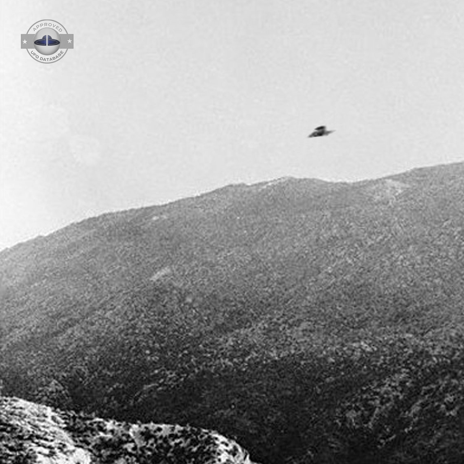 Photographer saw UFO fly at very high rate speed above the skyline UFO Picture #118-2