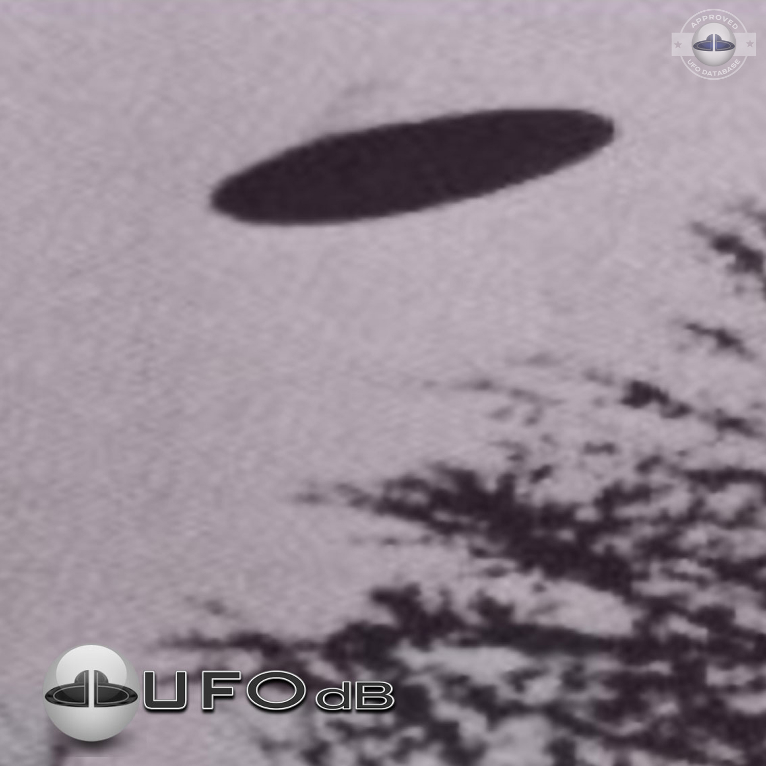 Old black and white picture of UFO in Red Bud Illinois in the USA UFO Picture #12-2