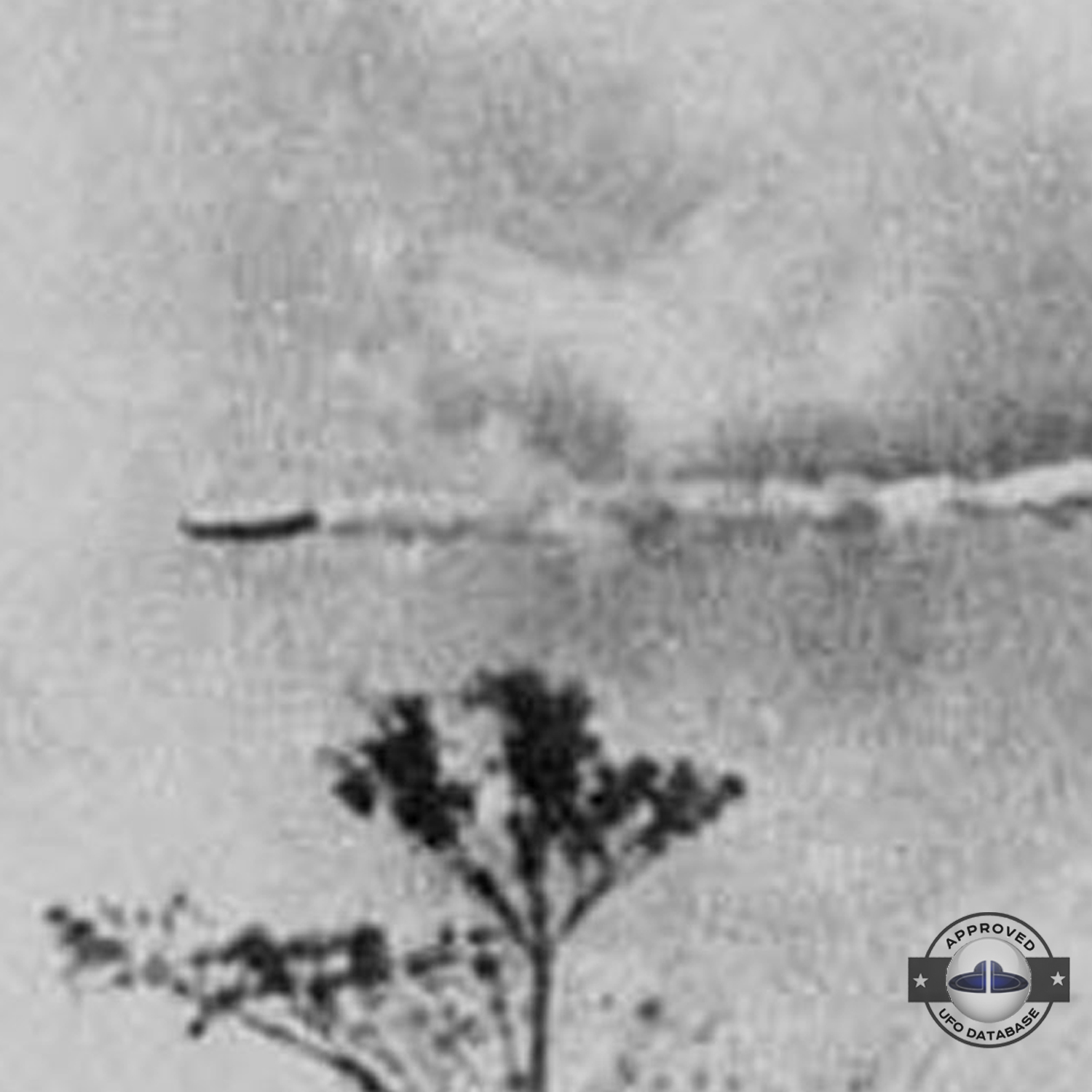 UFO picture, Cigar shaped UFO flying horizontally and low in the sky UFO Picture #120-3